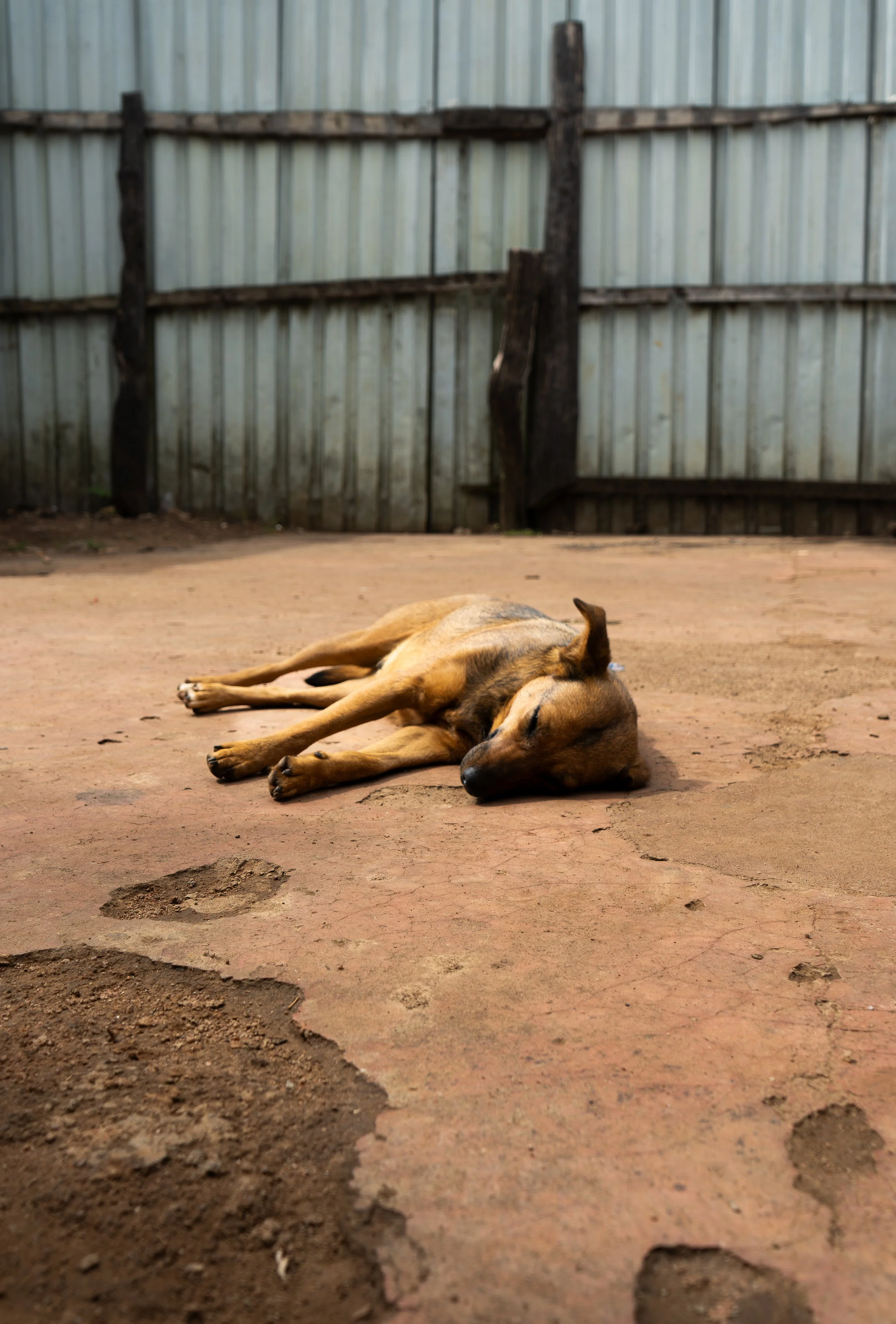 Umoja Children's Home, Kenya, March 2025