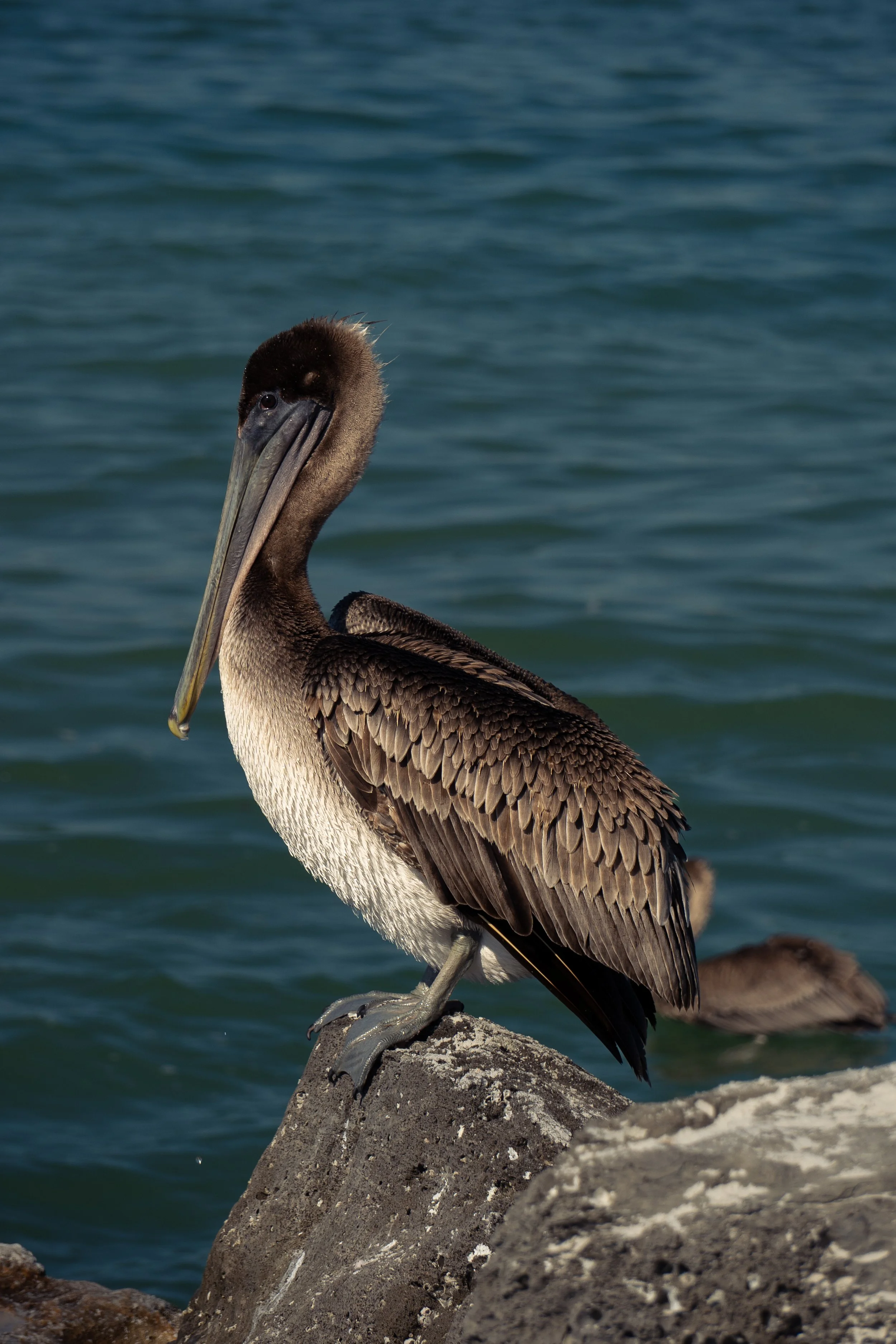 December 2025, Florida 