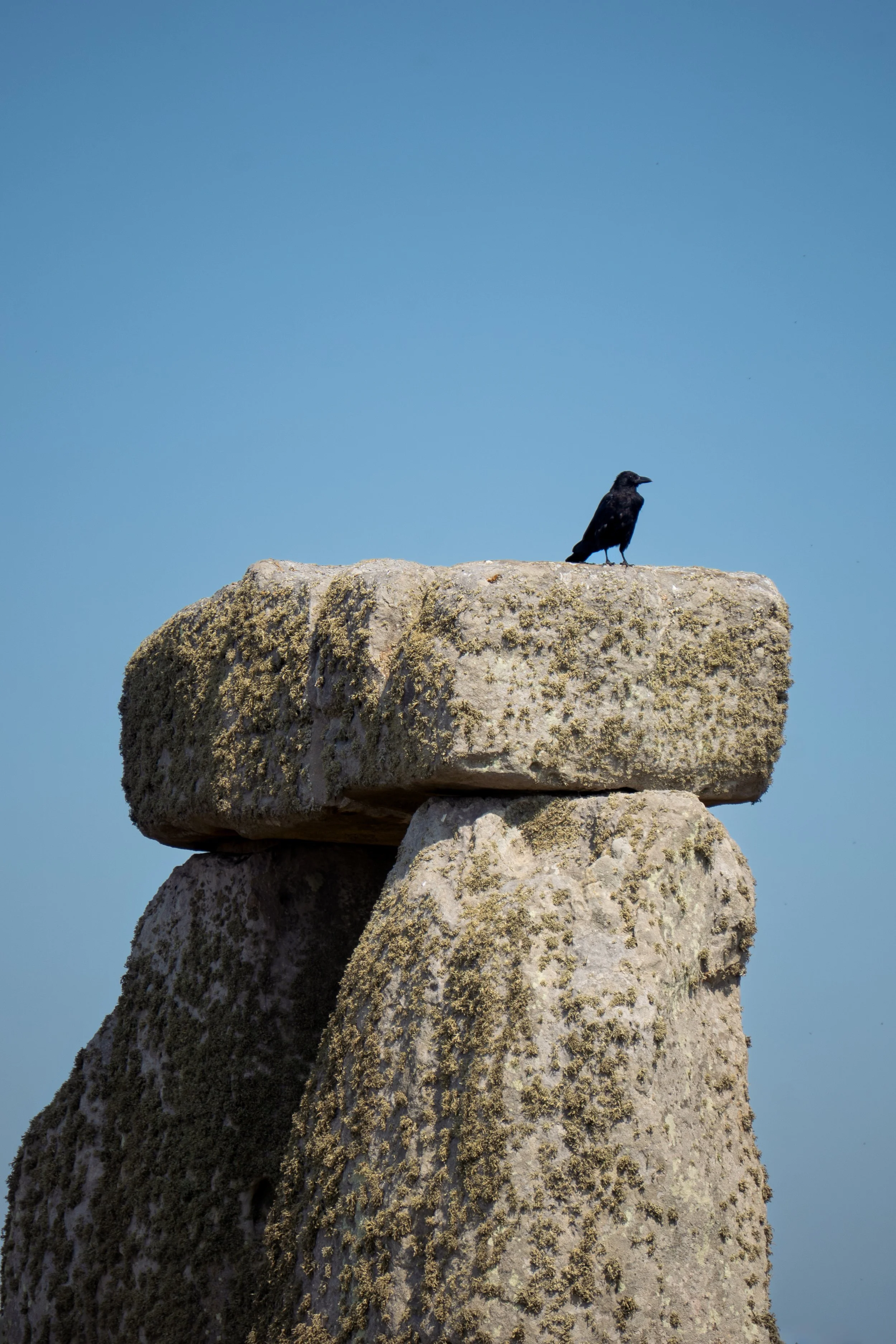 August 2025, Stonehenge, England