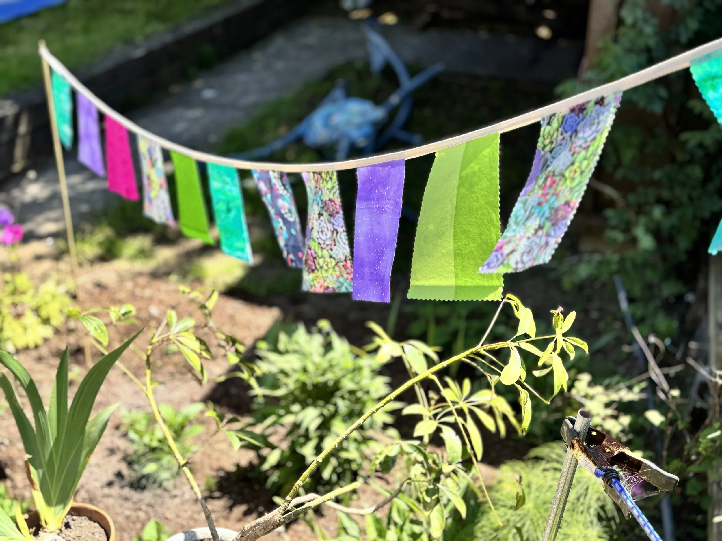 Decorative Bunting in Garden Succulent