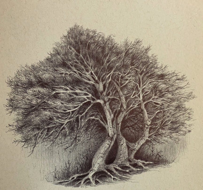 Weaving, 5x5, Pen and Ink on Toned Paper