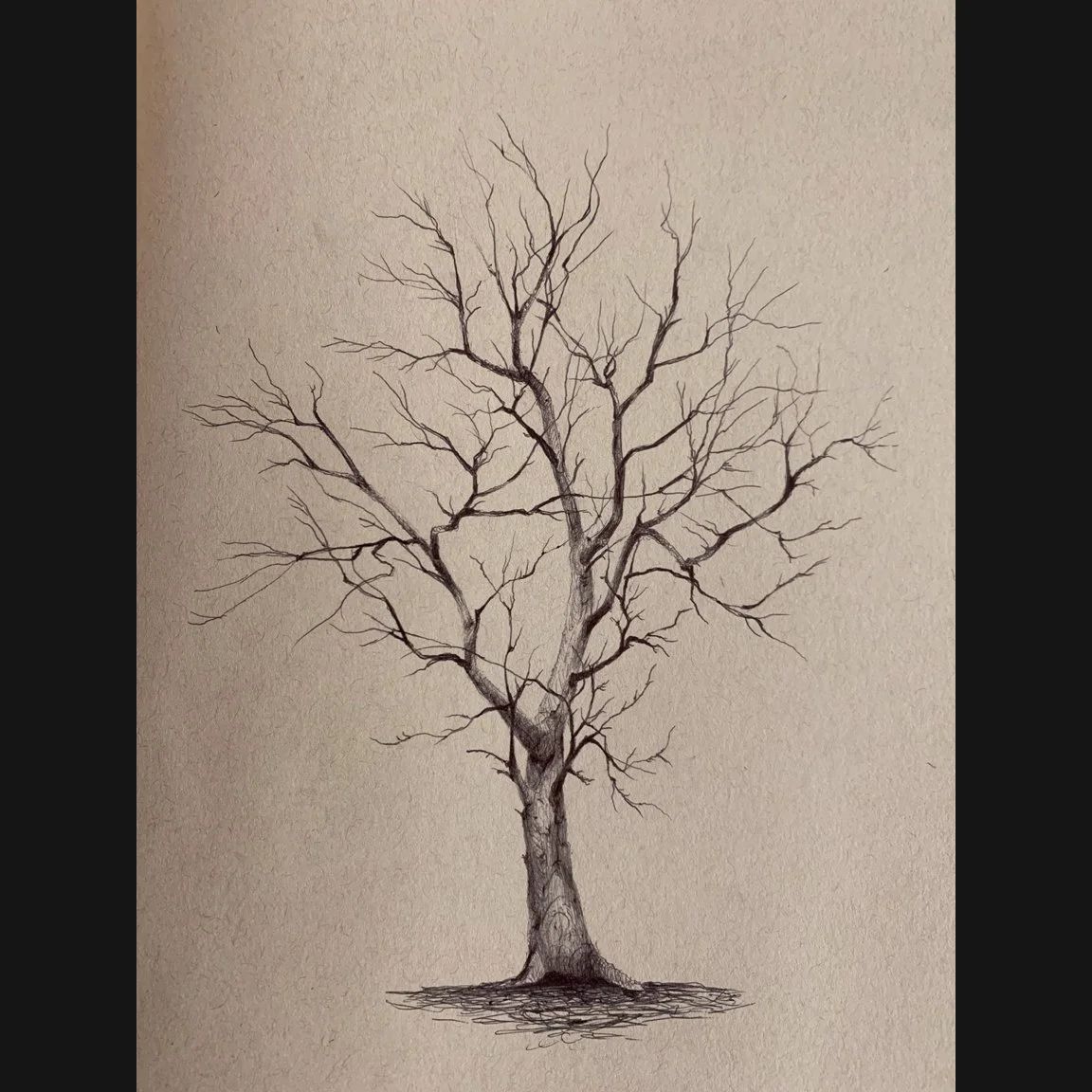 Winter Tree, Pen and Ink on Toned Paper