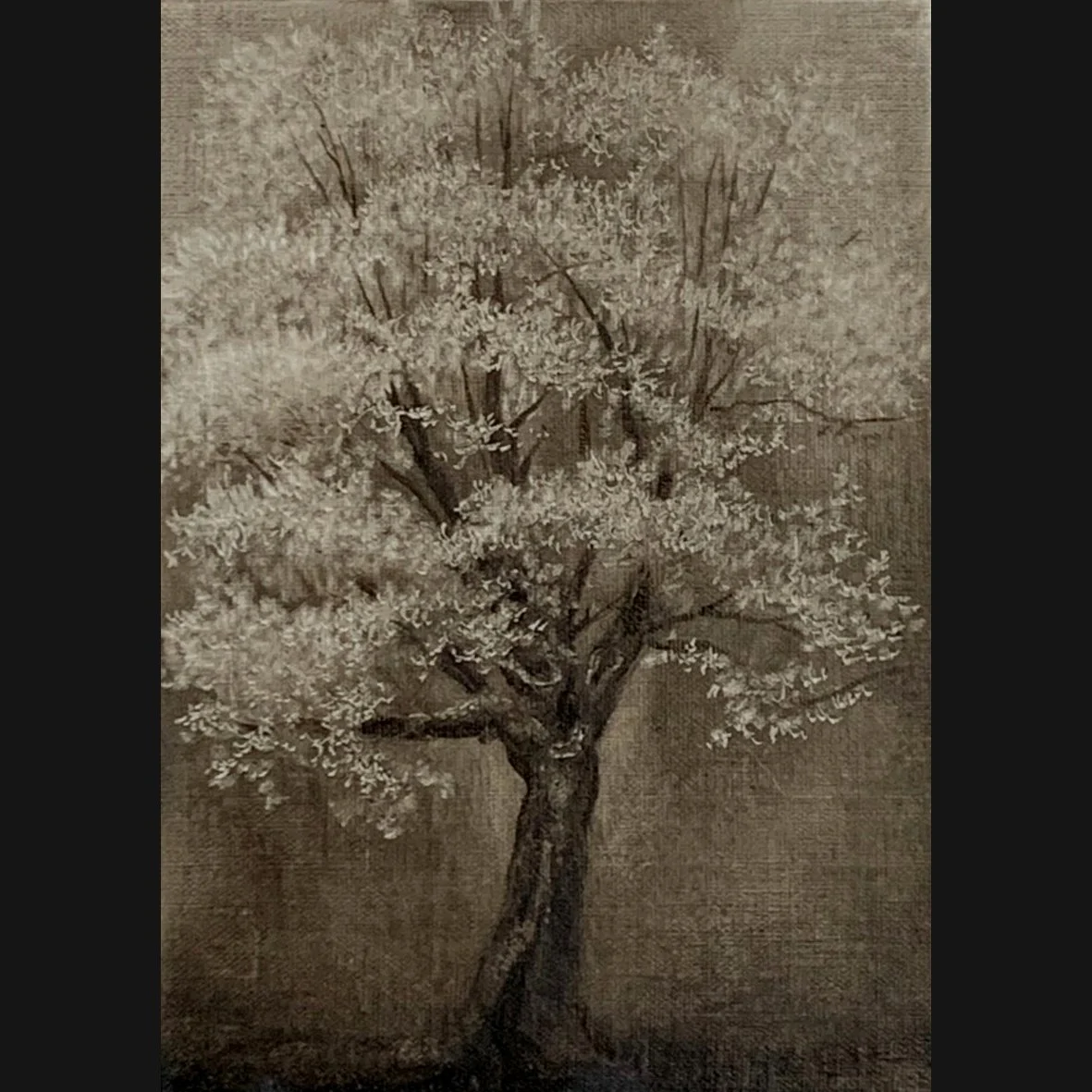 Survivor tree, 5x7, Oil on panel, Available with the Artist