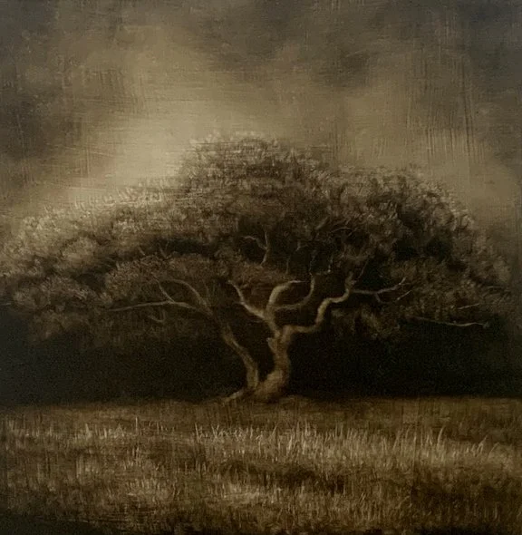 Whisper, 12x12, Oil on Woodboard, Available with J Peeler Howell Gallery