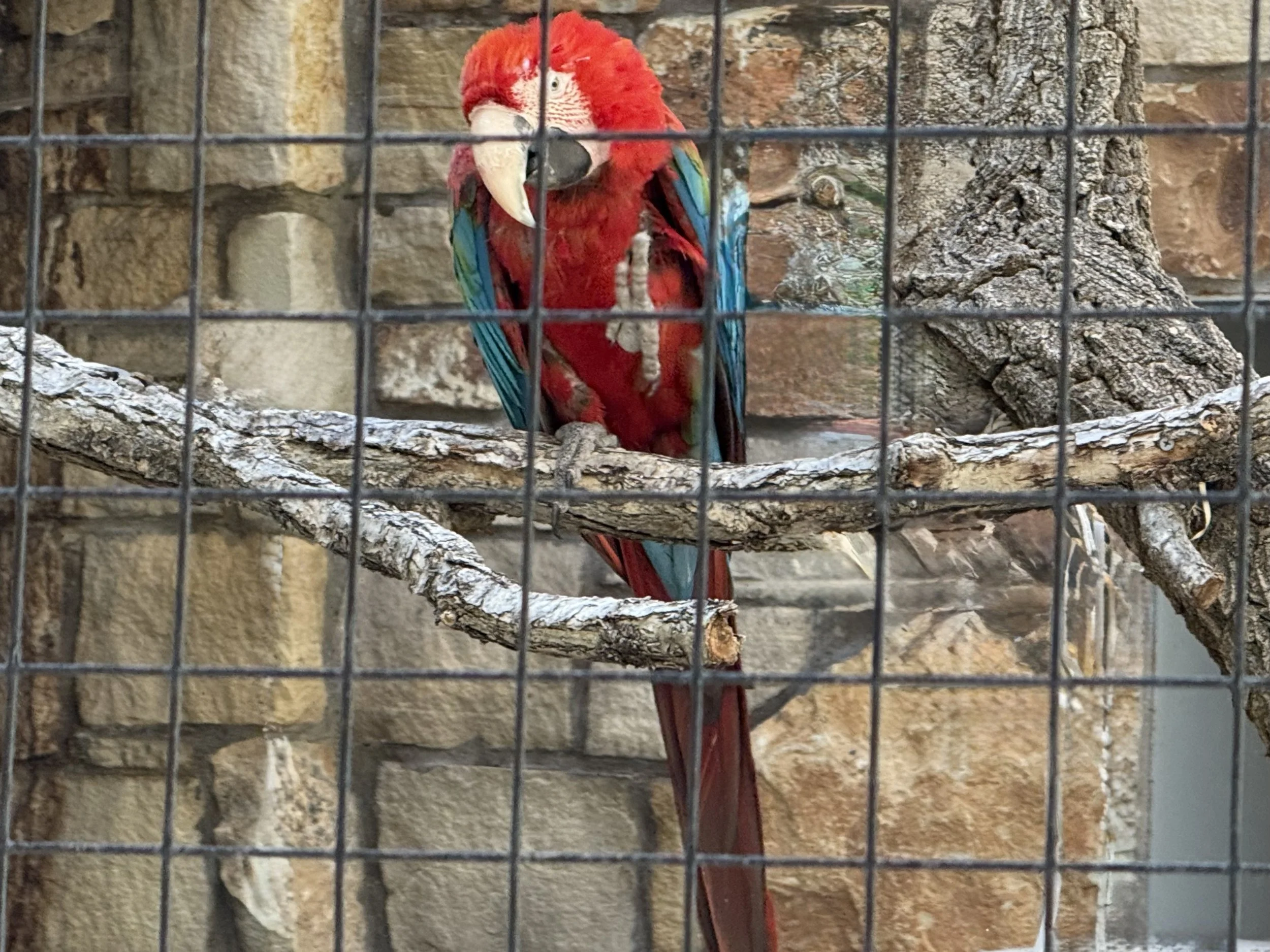 IMG_1107.jpeg