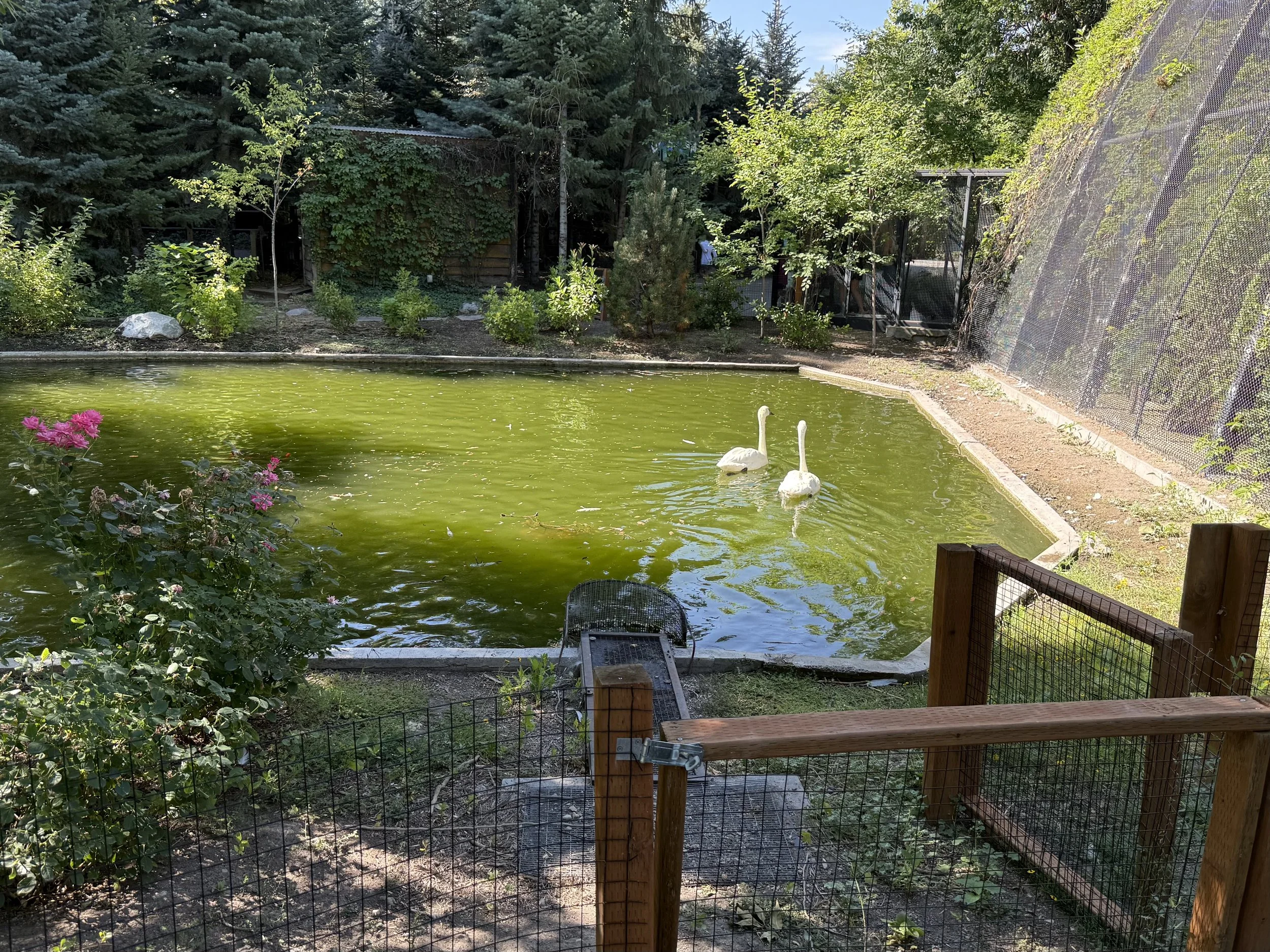 IMG_0958.jpeg