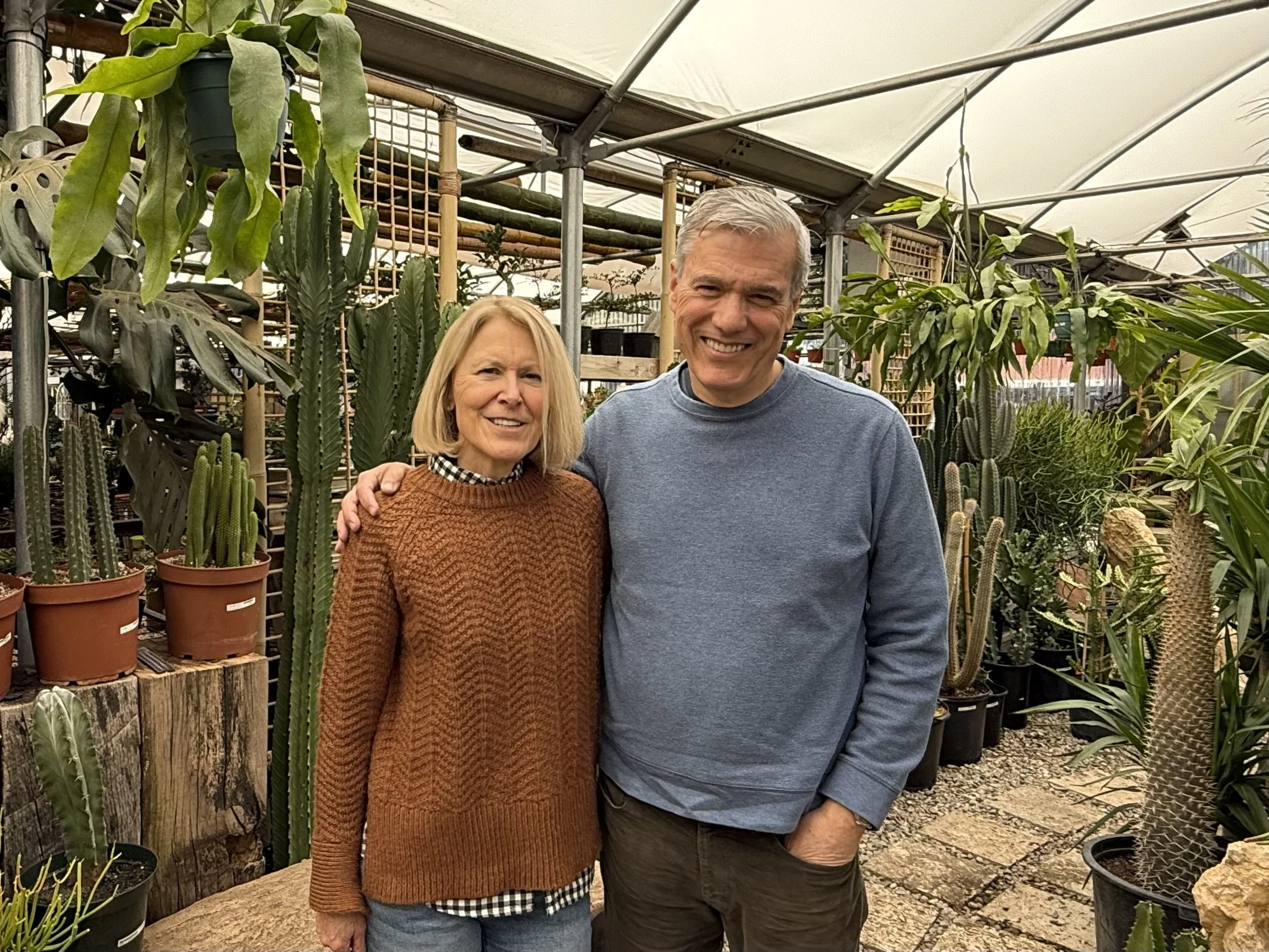 Cactus &amp; Tropicals