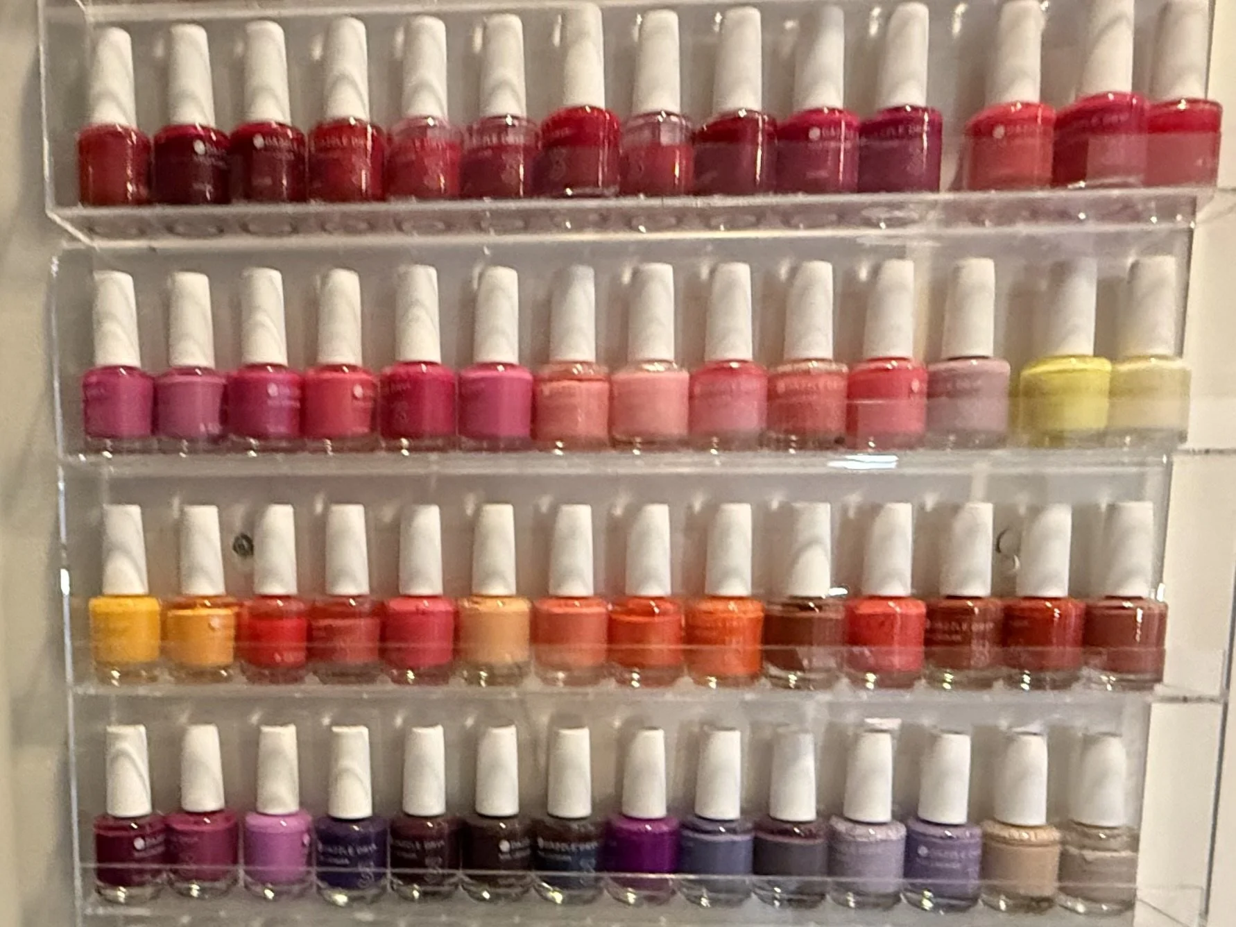 IMG_5613.jpeg