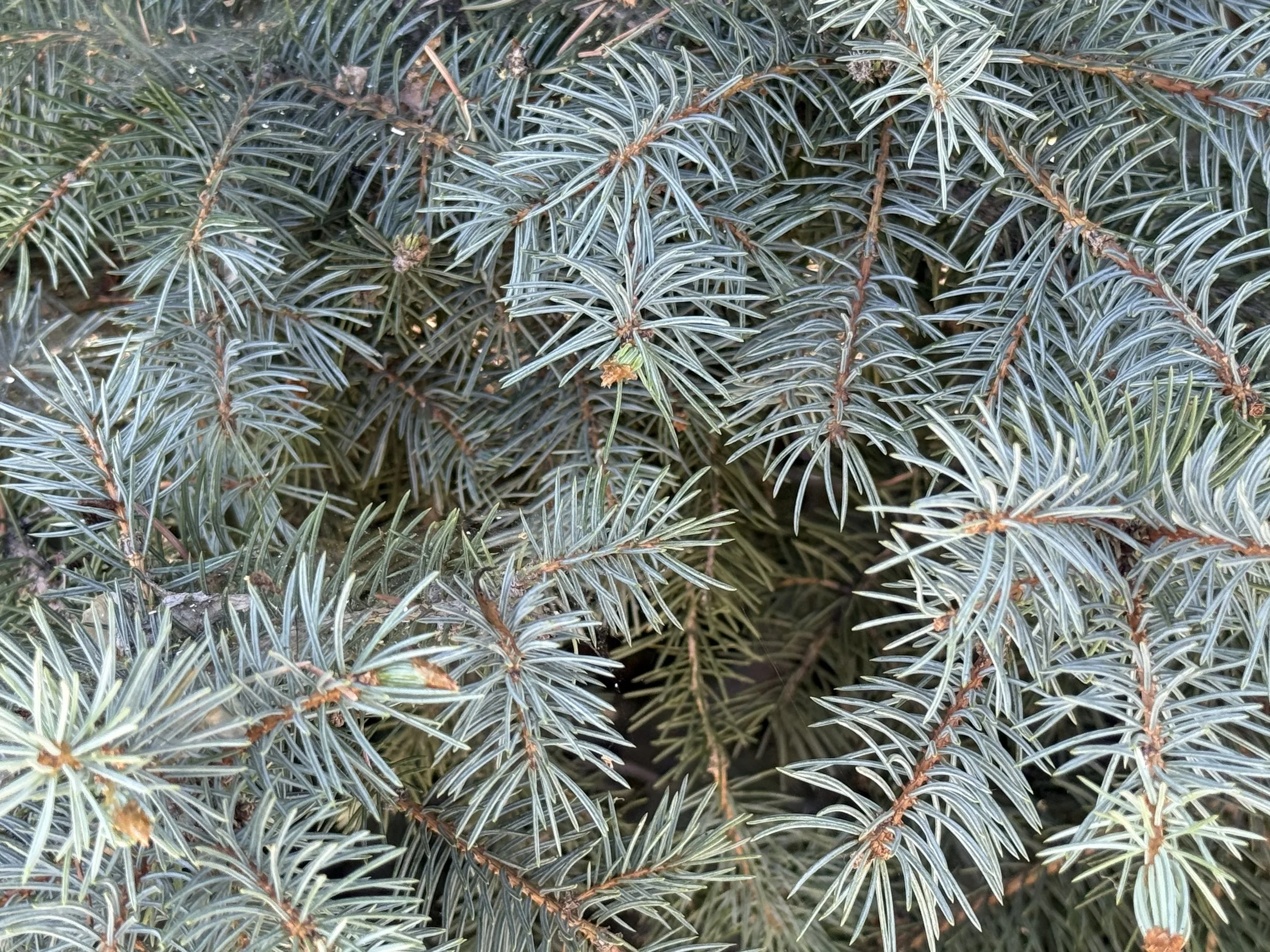 IMG_5980.jpeg