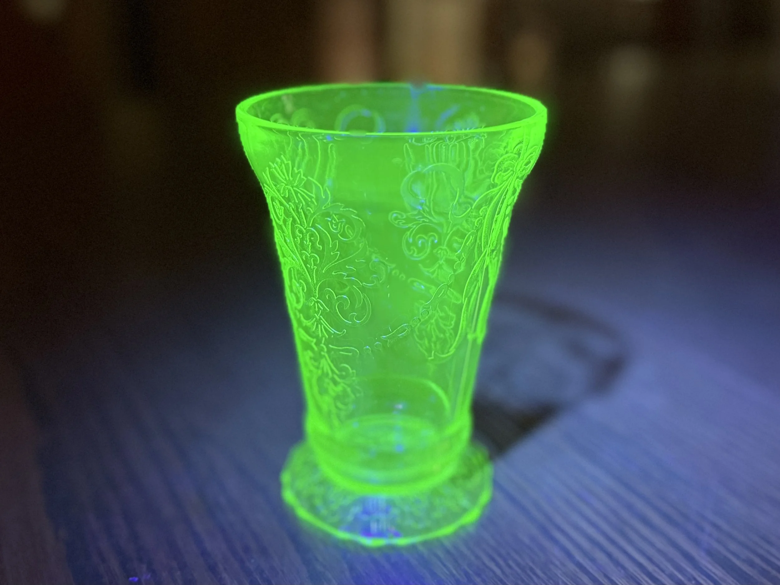 IMG_7931.jpeg
