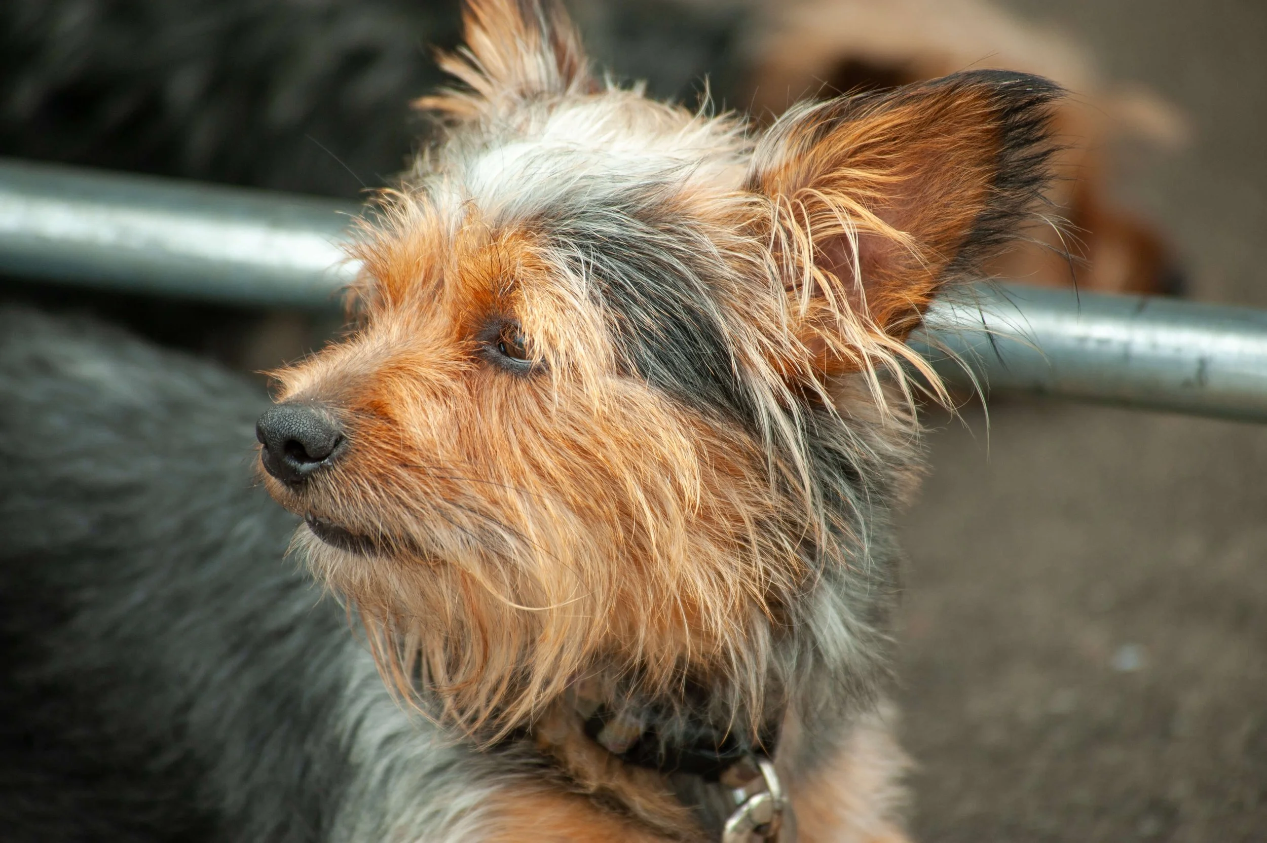 AMY_4304.jpg