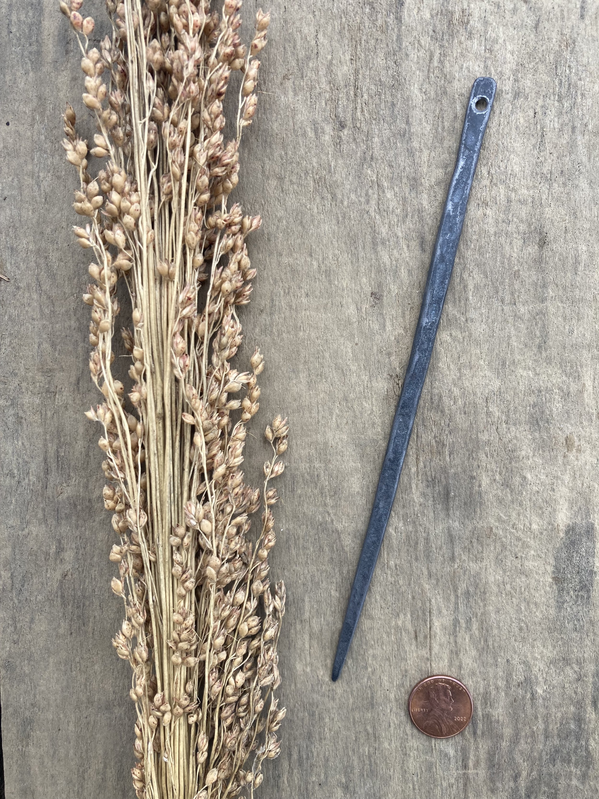 Broom Needle.jpg