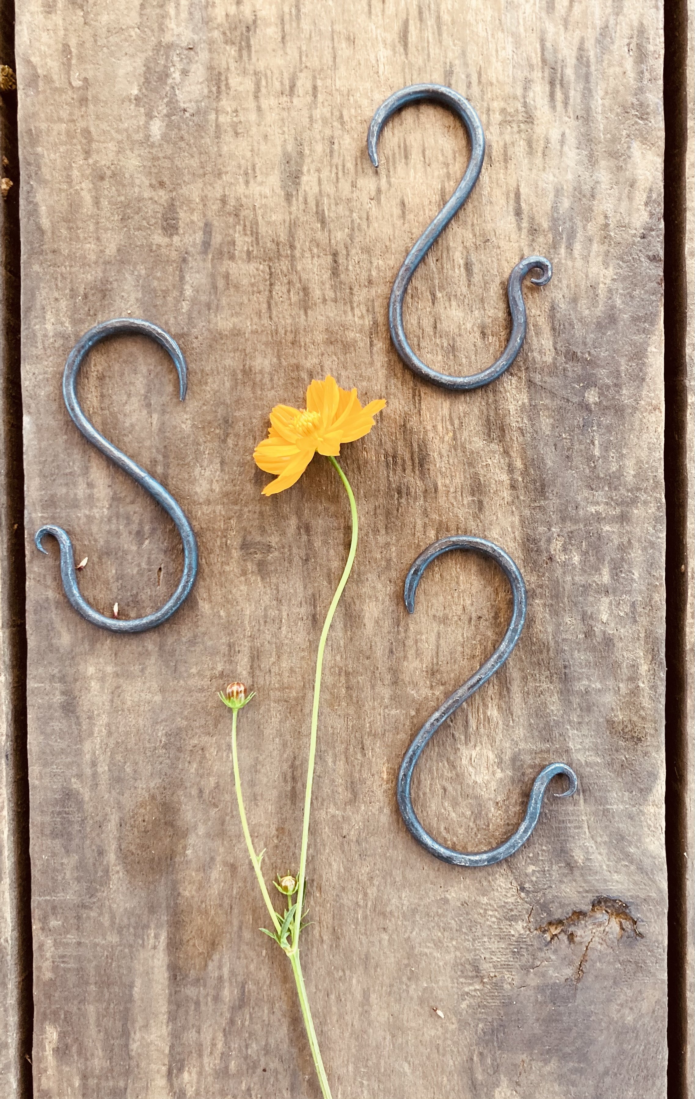 many s hooks pretty.jpeg