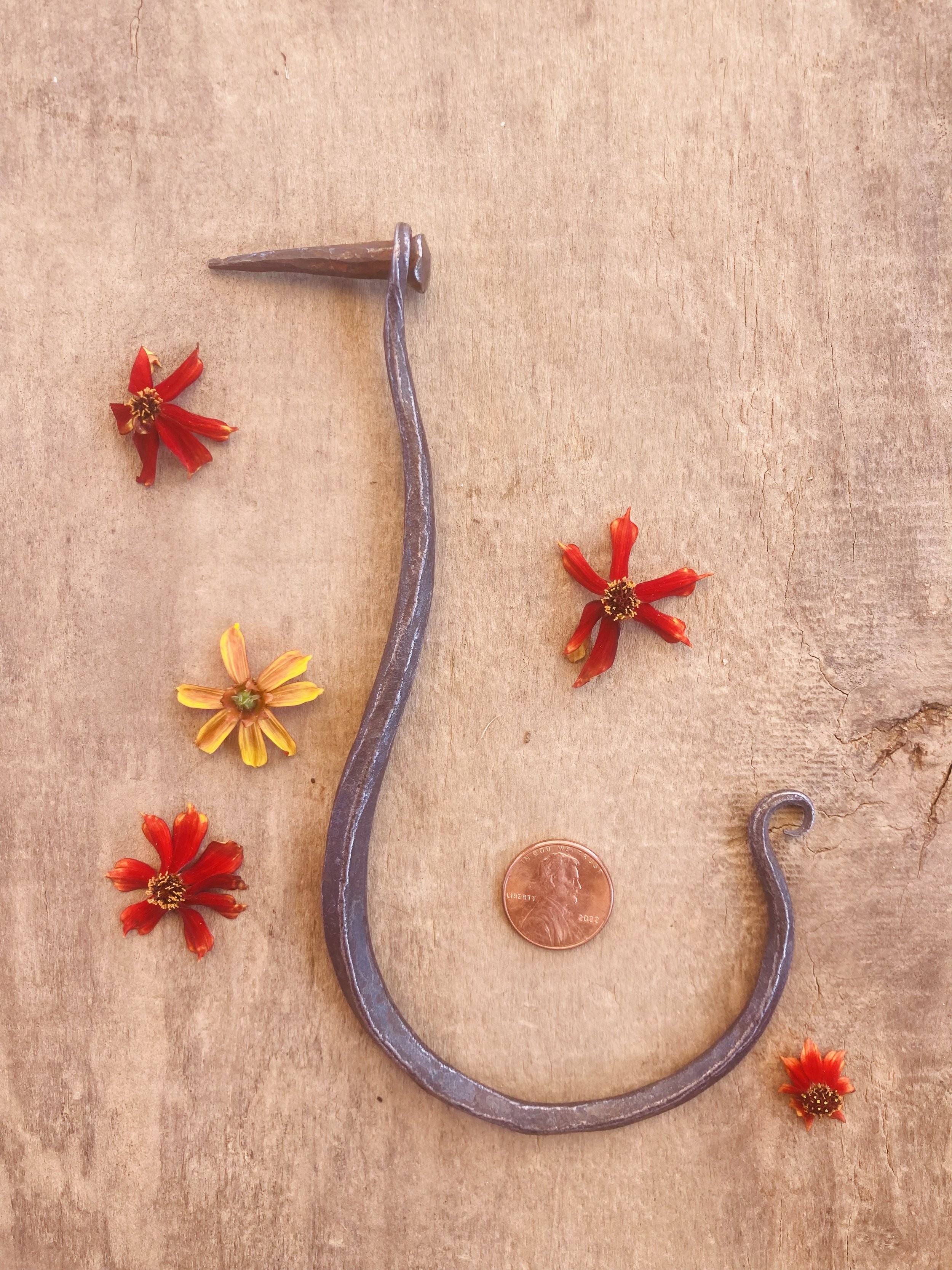 hook and nail thumbprint .jpeg