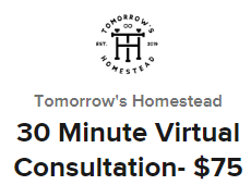 30 Minute Virtual Consultation