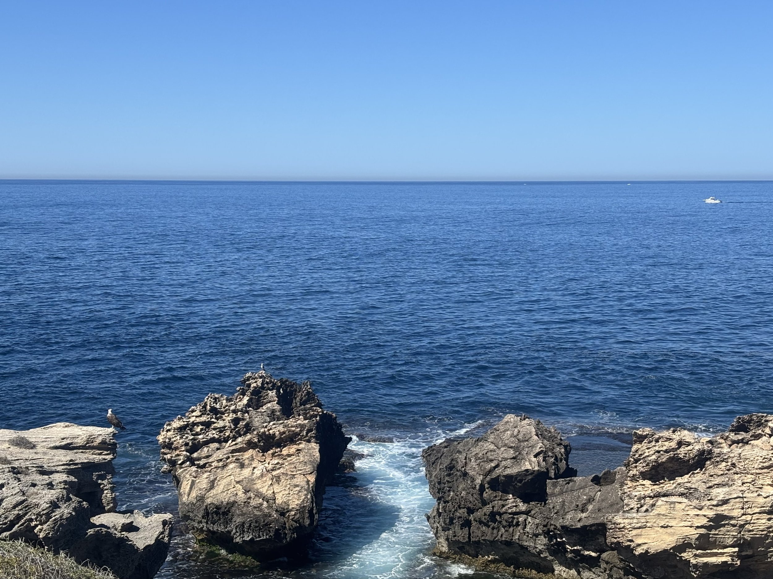 1 Year of Tidalbreak