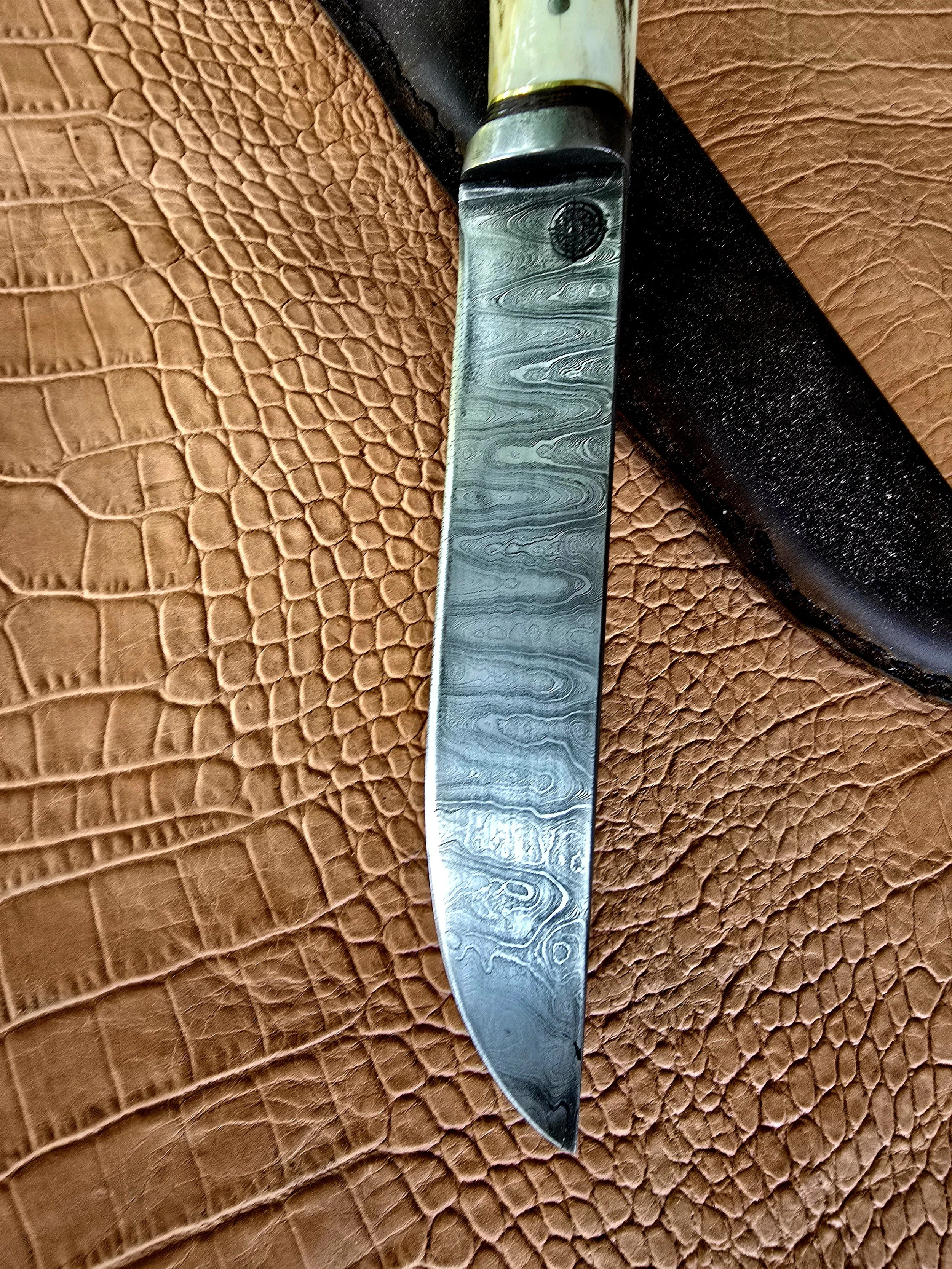 1000019115.jpg