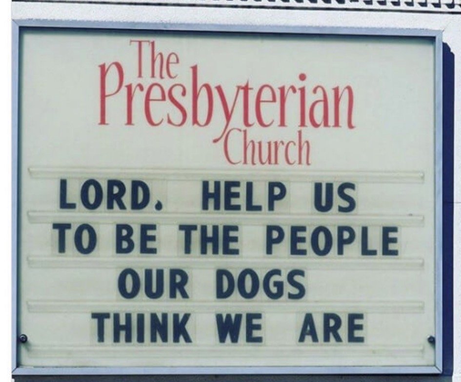 Signboard outside a Presbyterian church with a message asking for help to be better people, comparing humans to dogs, with the message 'Lord, help us to be the people our dogs think we are'.