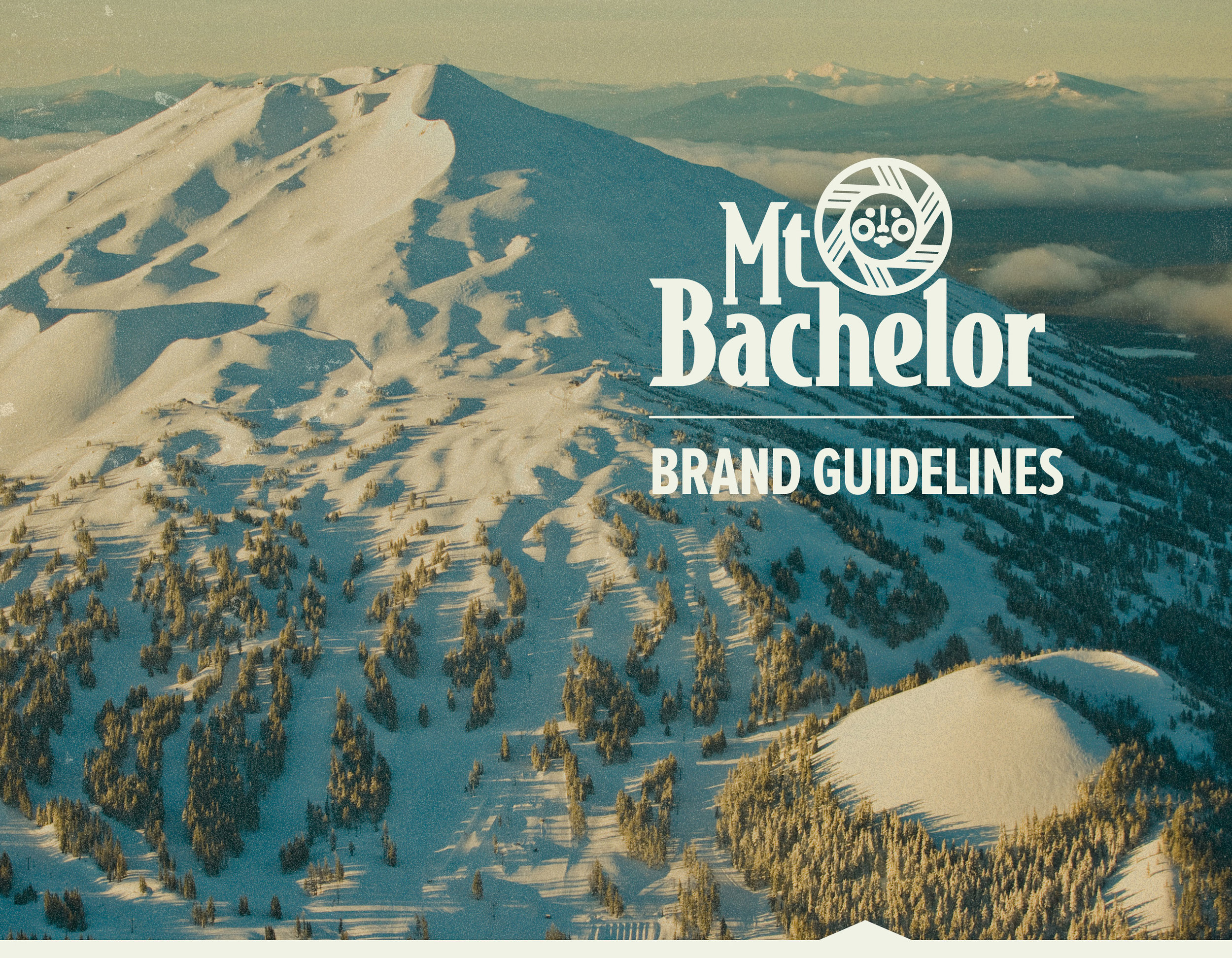 mtbach_brand_guide_2013_title_web.jpg