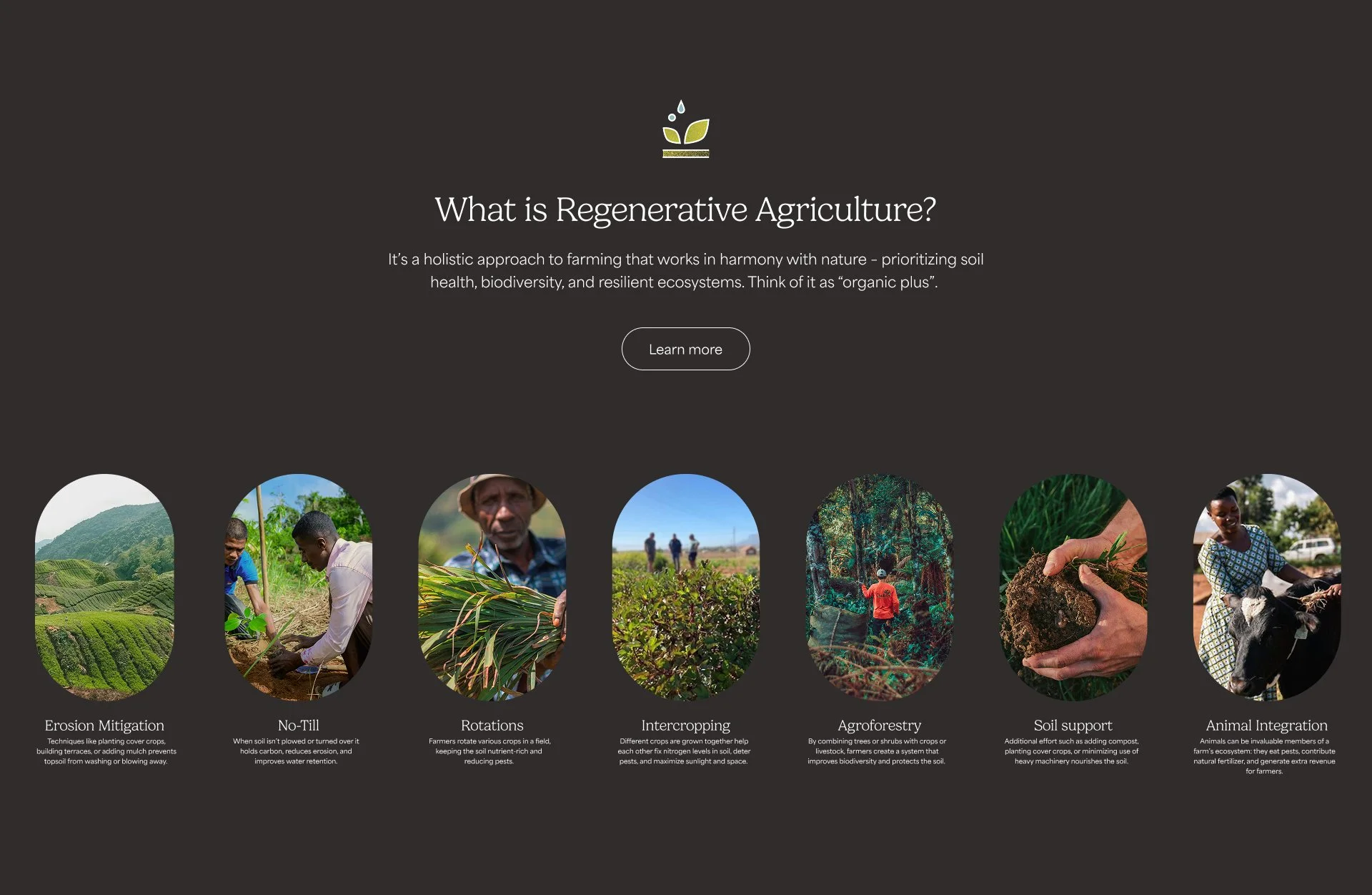 yogi-sustainability-block.jpg