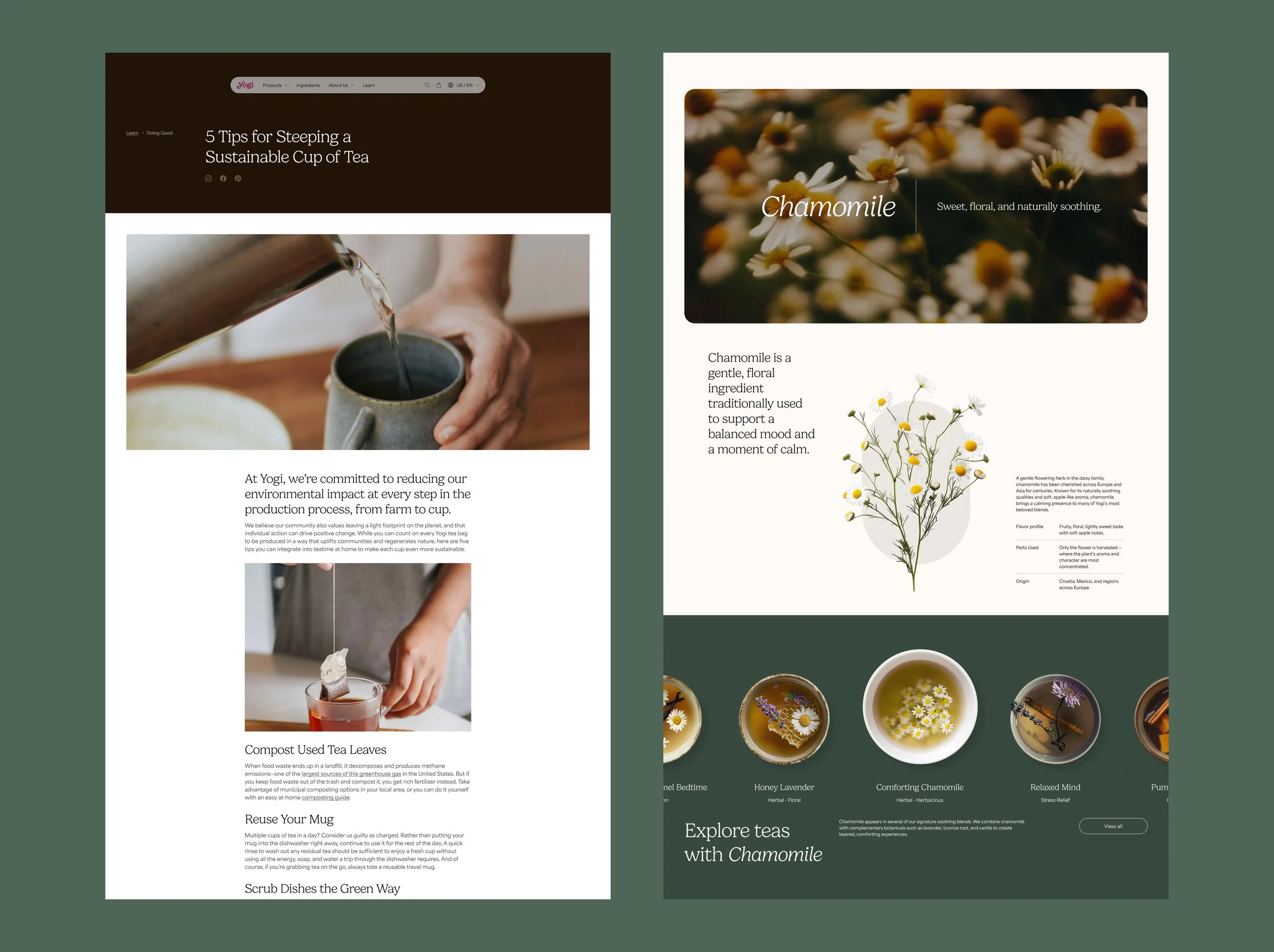 yogi-www-pages.jpg