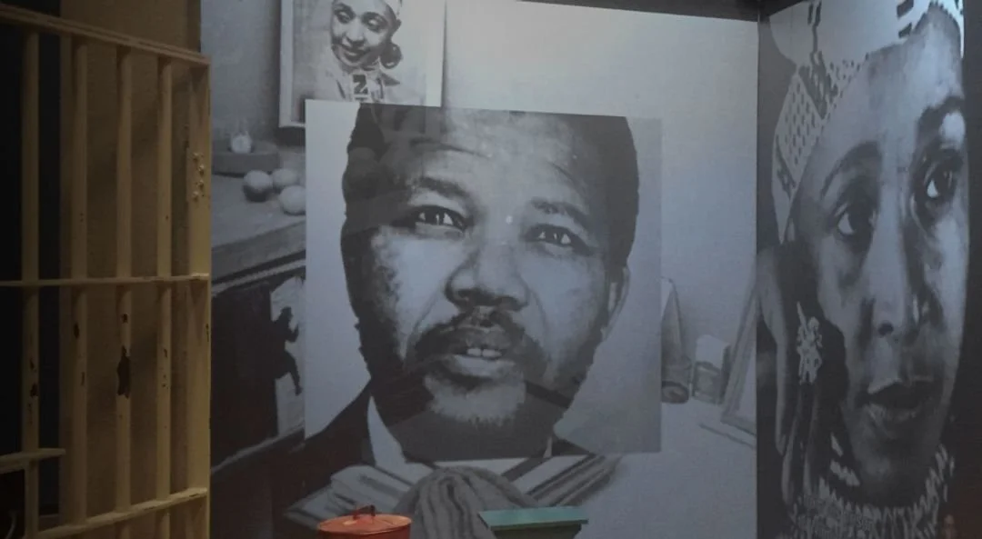 cmhr-mandela-cell-projection-detail.jpg