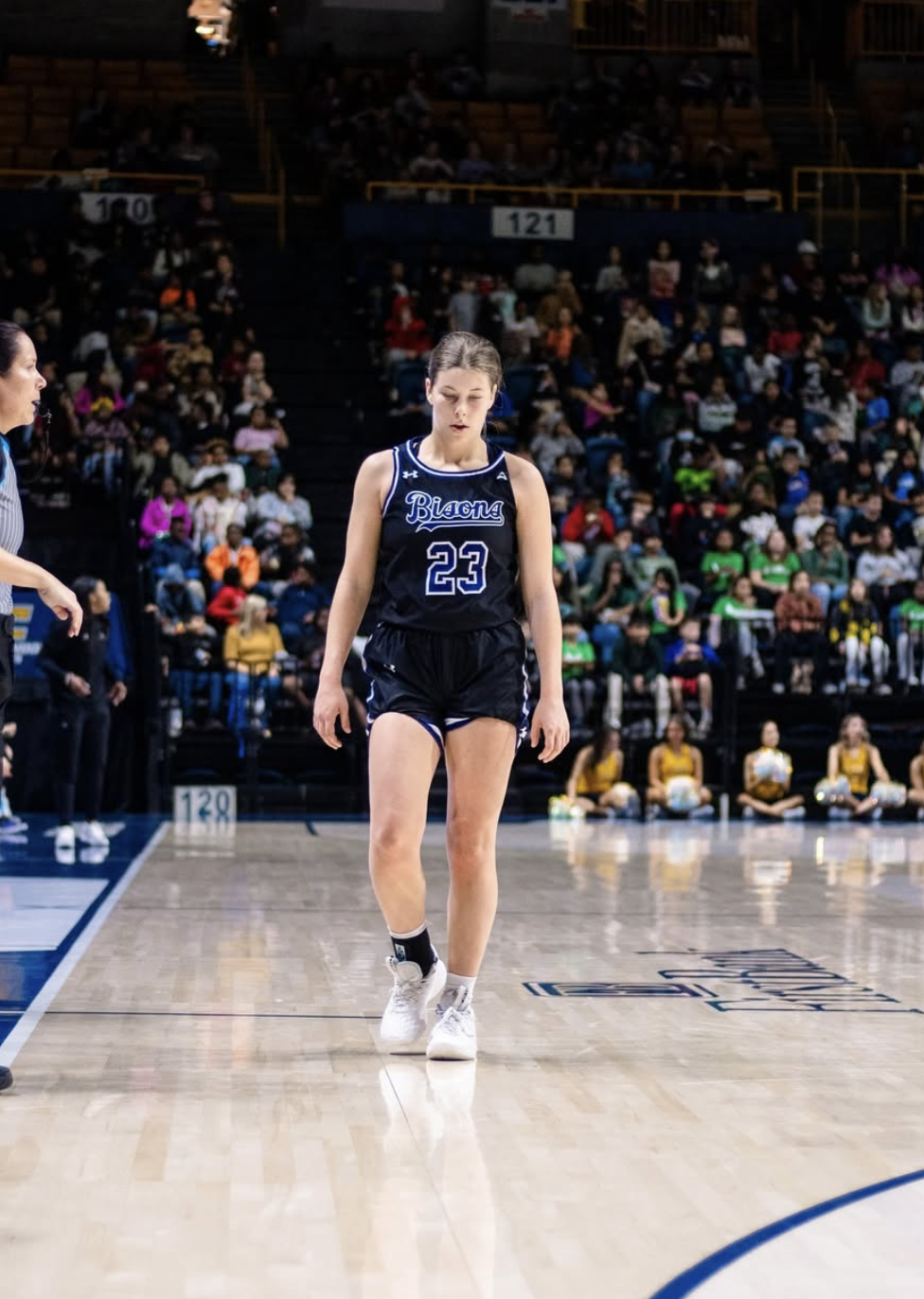 Screenshot 2025-01-09 at 10.04.10 AM.png