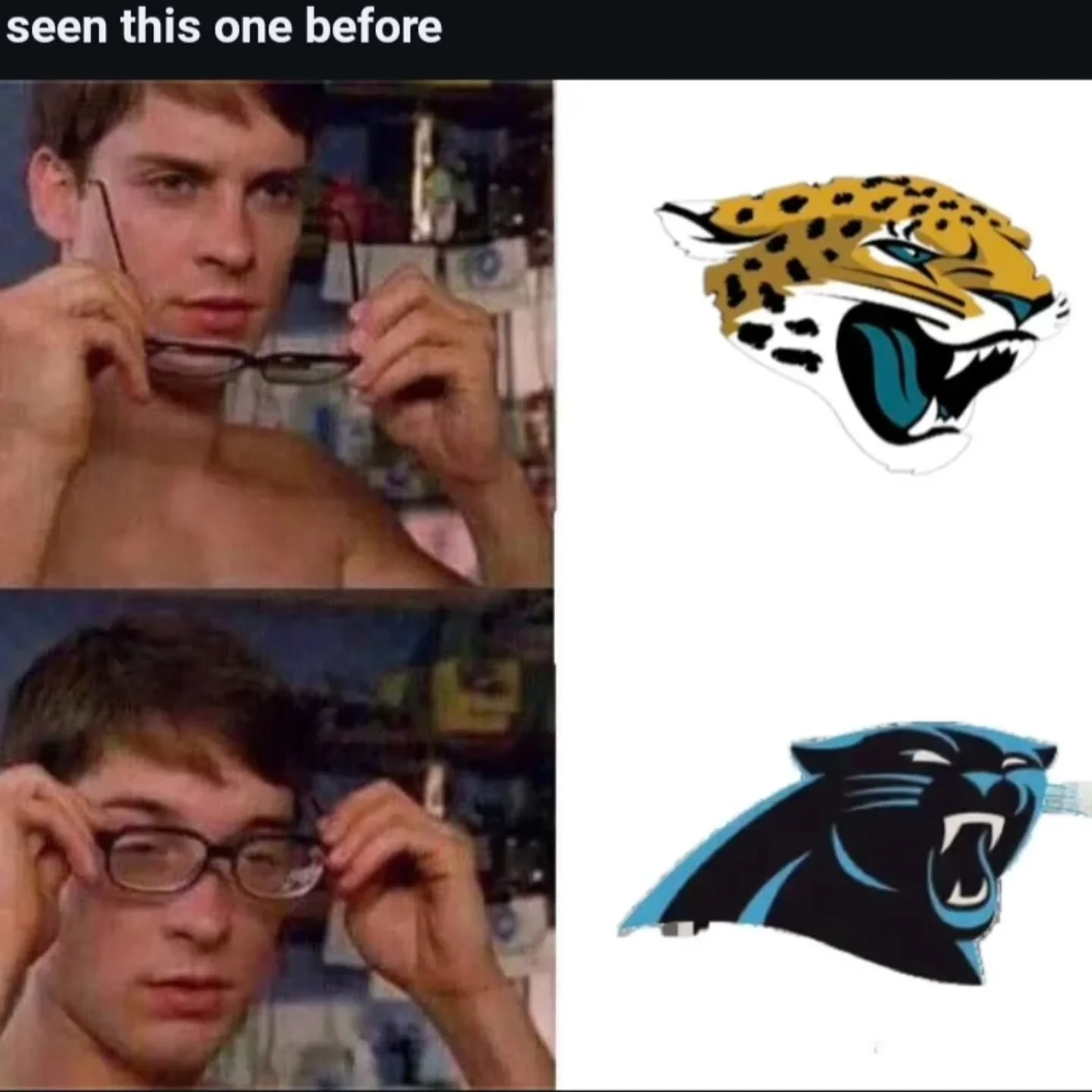 Love my Panthers but that was eerily similar.