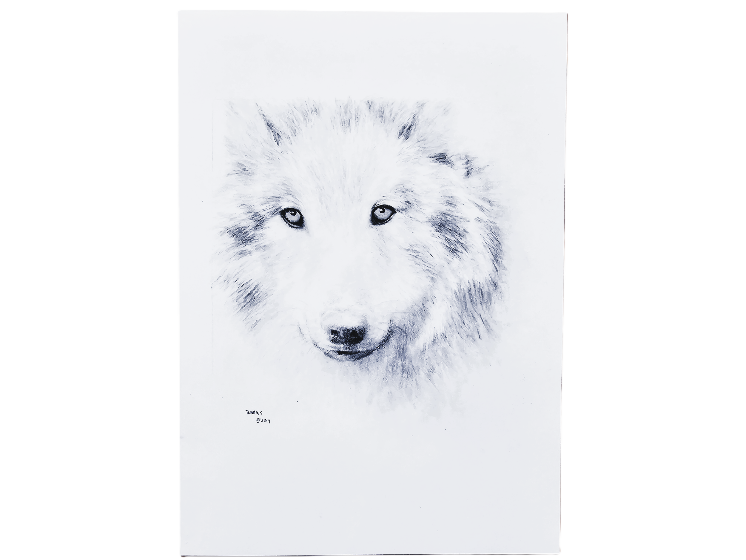 lobo.png