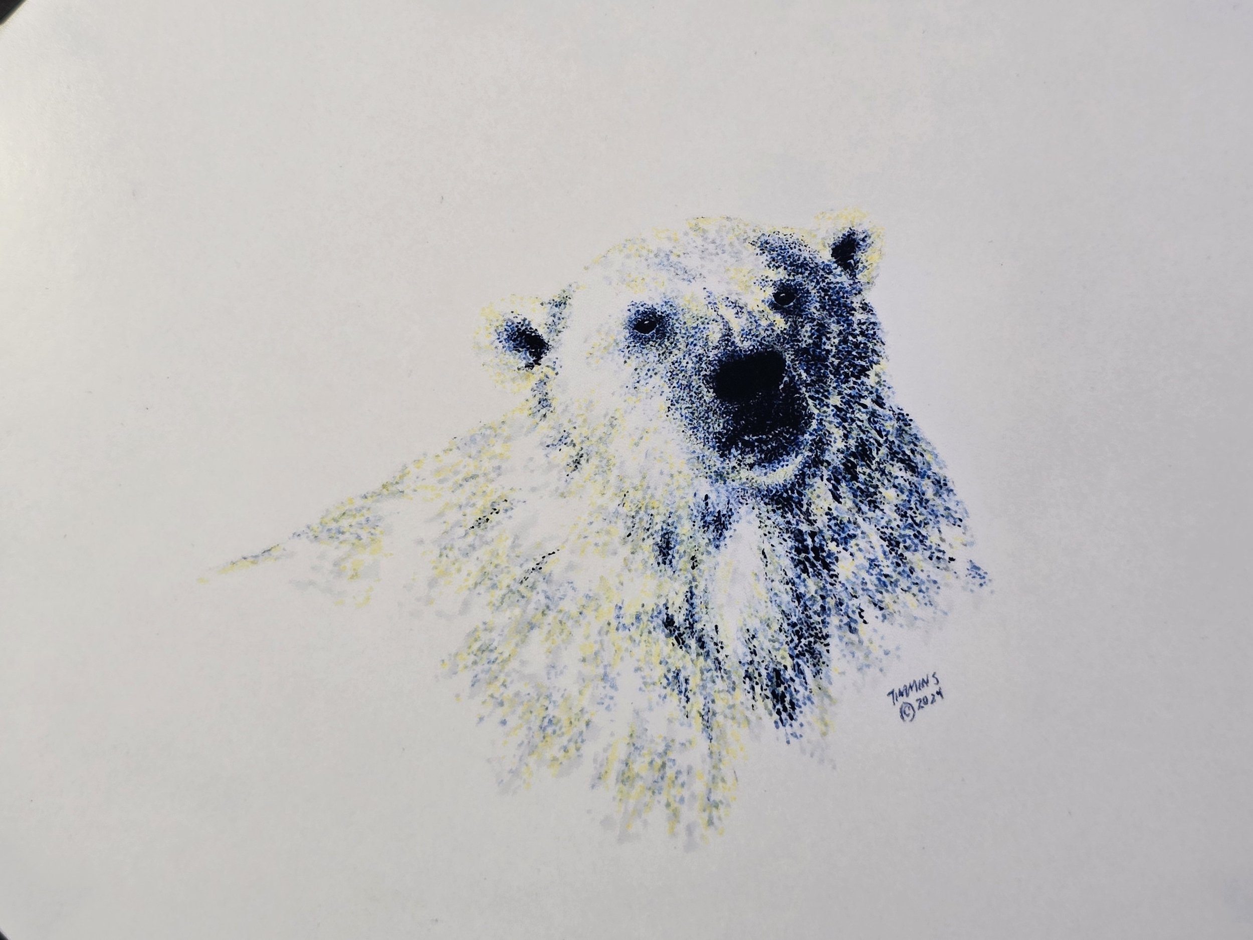 TUNDRA (Polar Bear)
