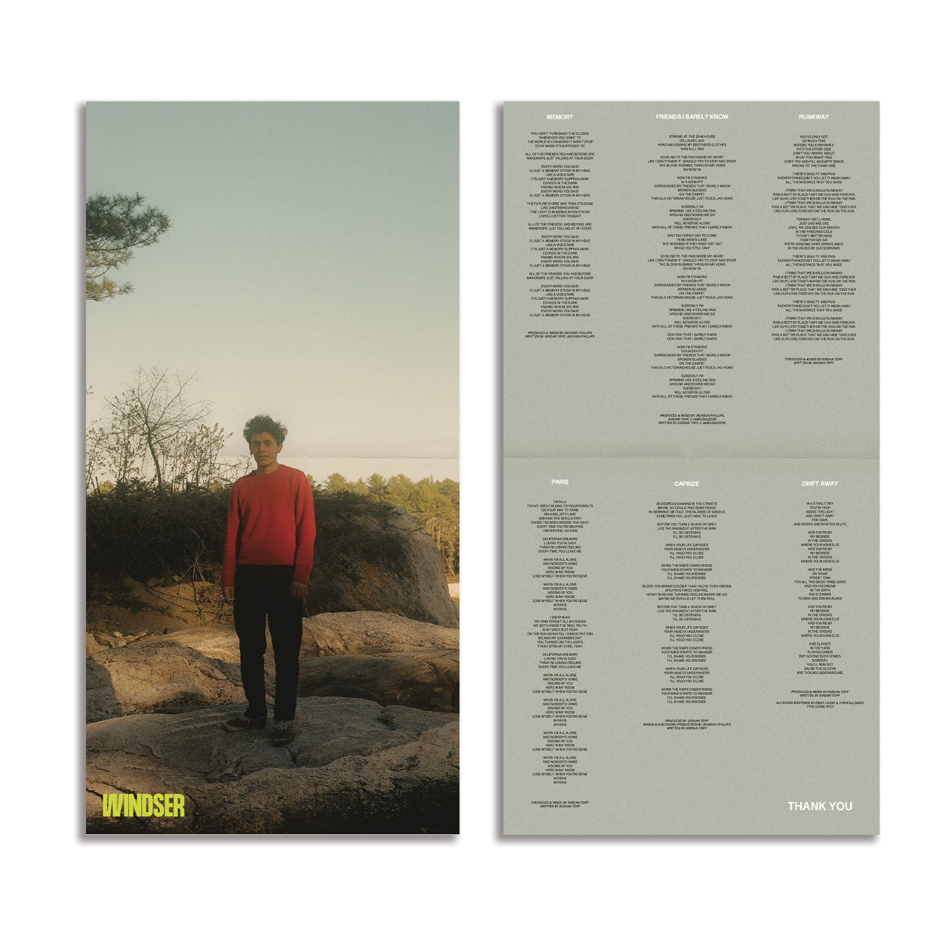 windser vinyl mock up 4 copy.png
