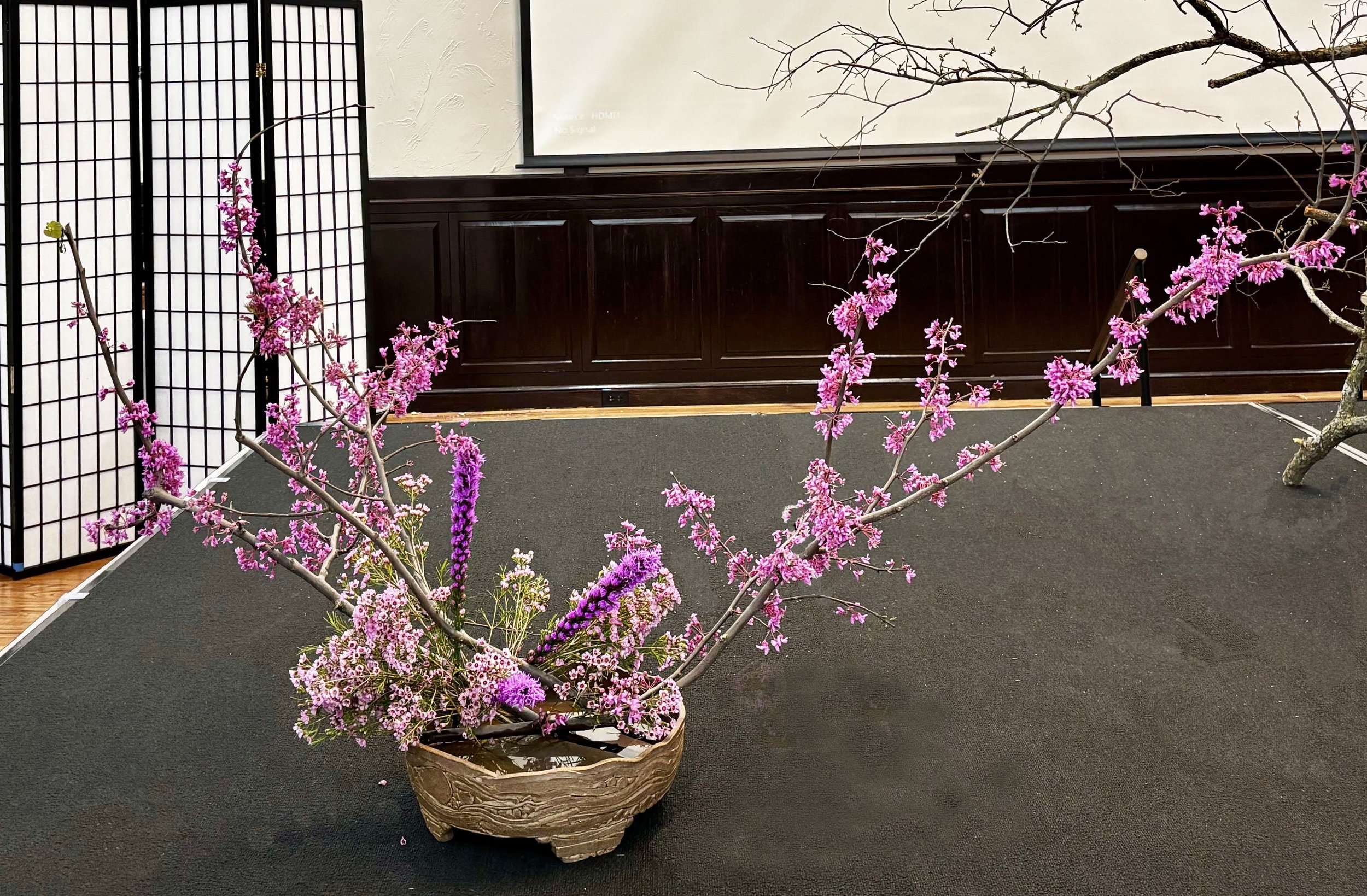 Higuchi - Pink.jpg