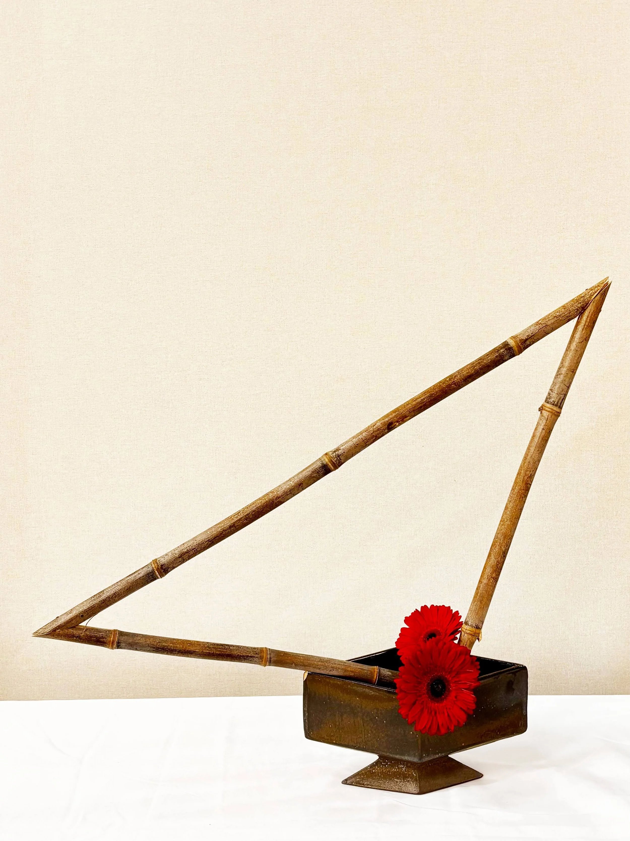Karen Murrel - bamboo.jpg