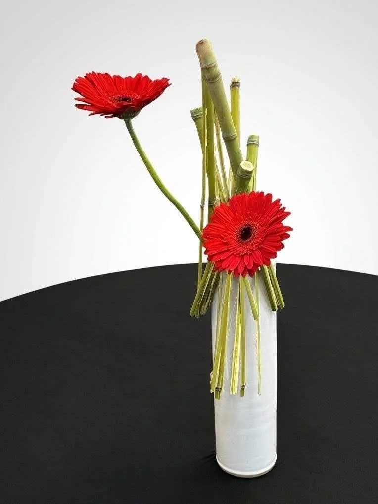 Michael - bamboo.jpeg