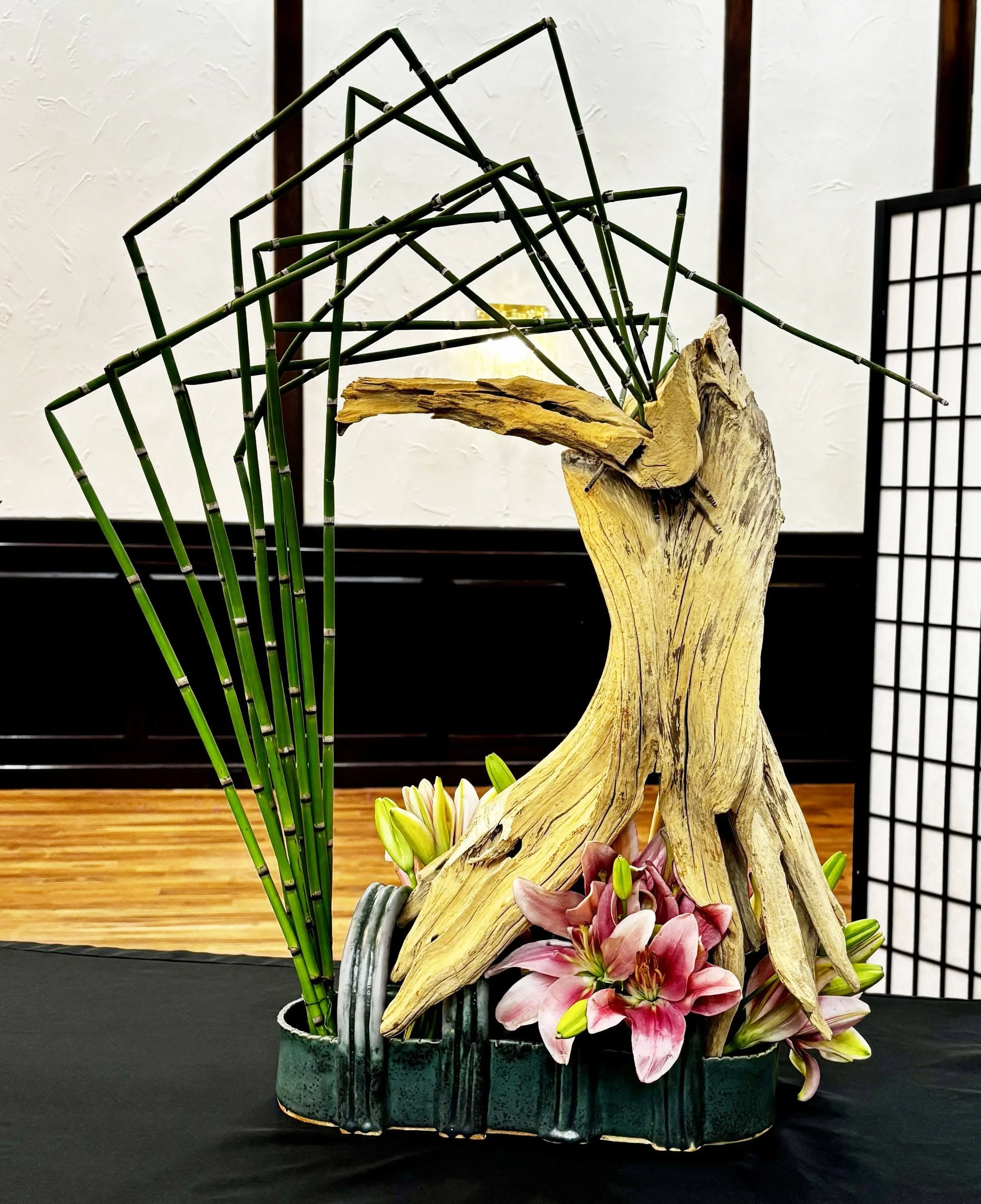 Yamaguchi - Lily.jpg