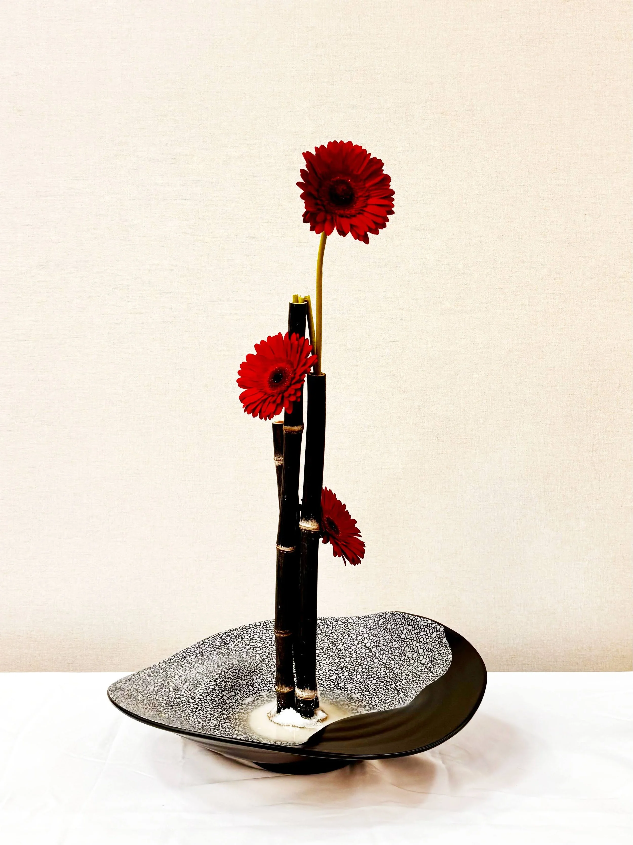 Yoko Mazza - Bamboo.jpg
