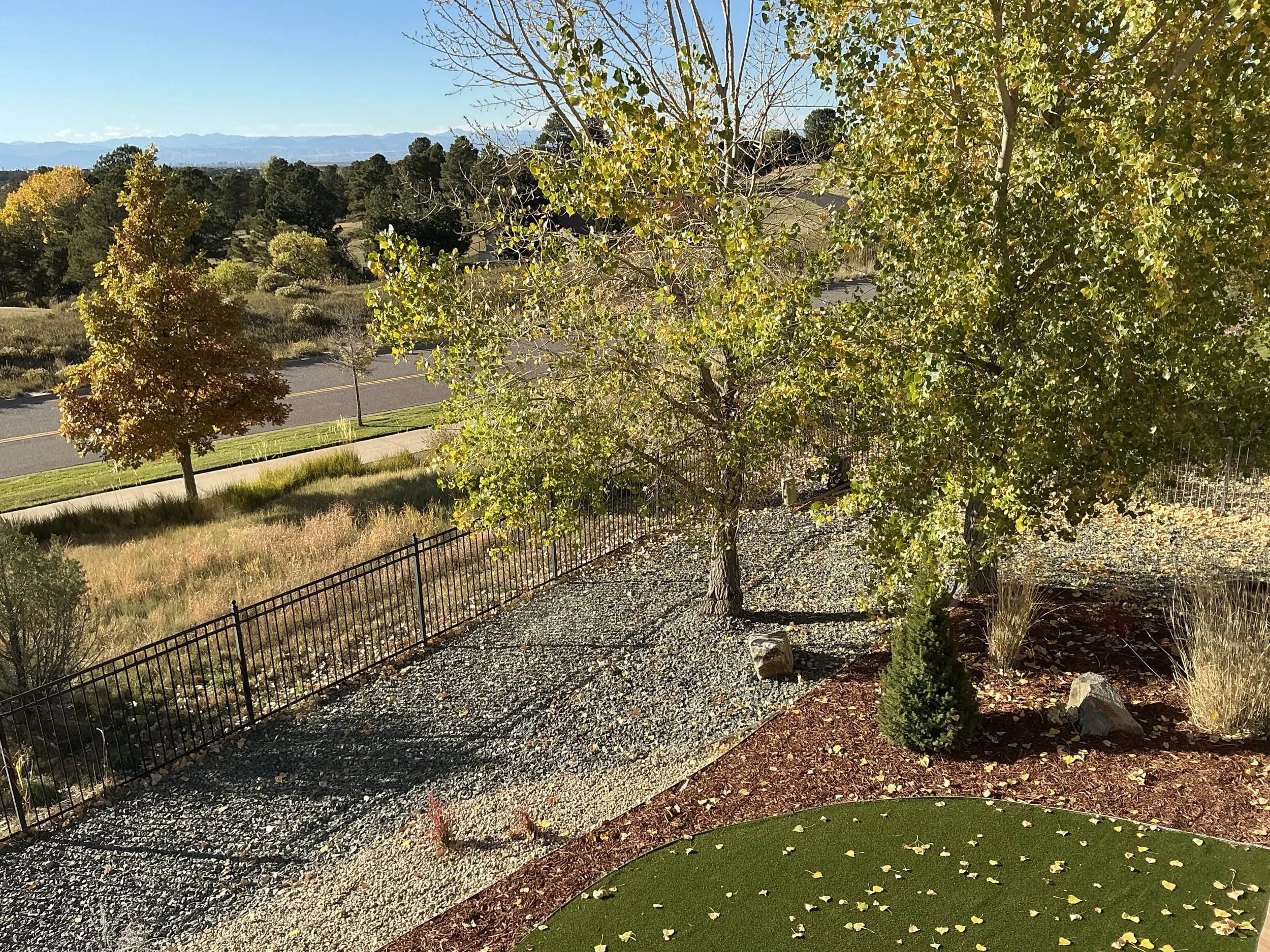 A landscaped outdoor scene with trees, a gravel path, a black metal fence, a sidewalk, and a grassy area with fallen leaves, under a clear blue sky.