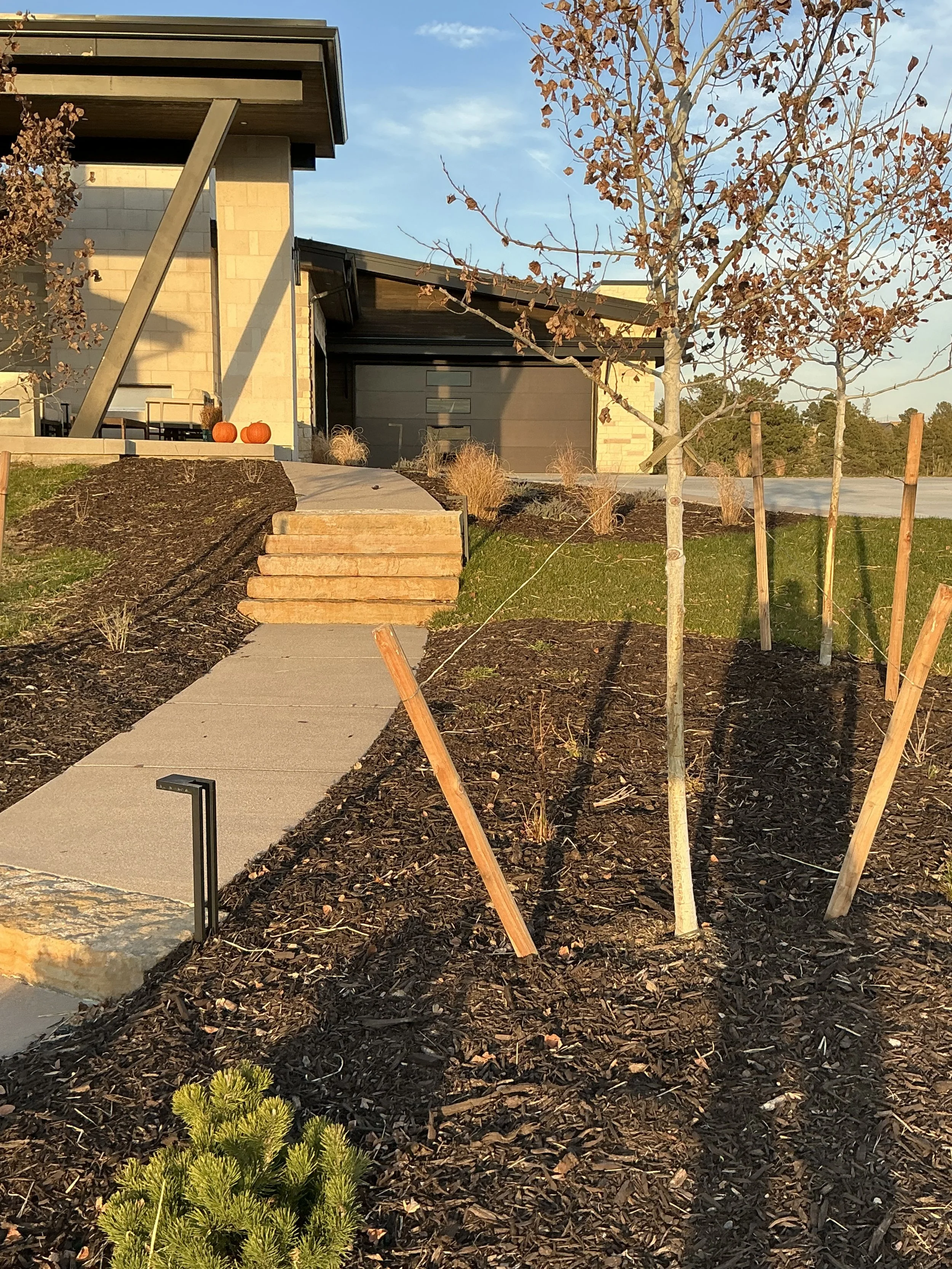 A modern house with a stone and dark panel exterior, a concrete pathway leading to the front steps, and decorative pumpkins on the porch. The yard has newly planted trees supported by stakes, some with brown leaves, and a landscape with mulch and grass, during sunset with long shadows.