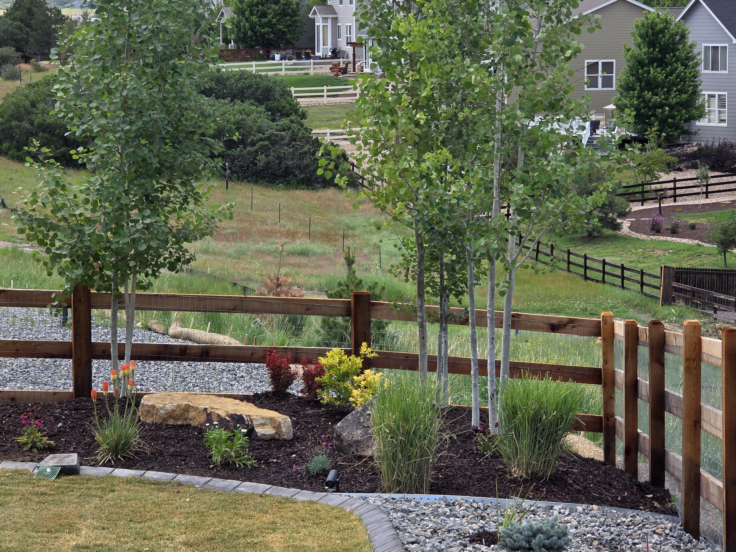 Garden with young trees, flowering plants, a large rock, mulch, a stone border, and a wooden fence in a backyard landscape.