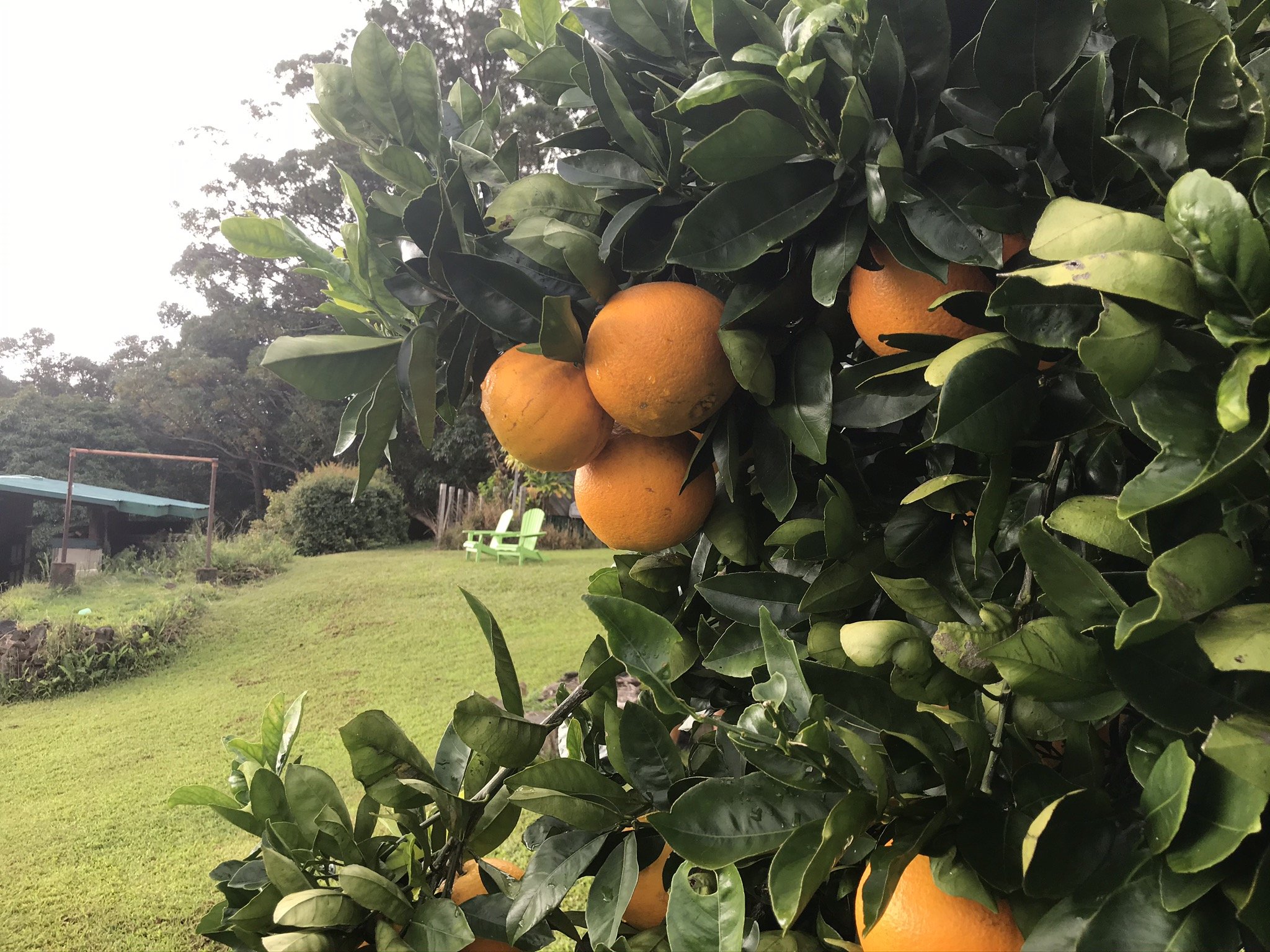 Ho'oulu Community Farmers and Artisans Market