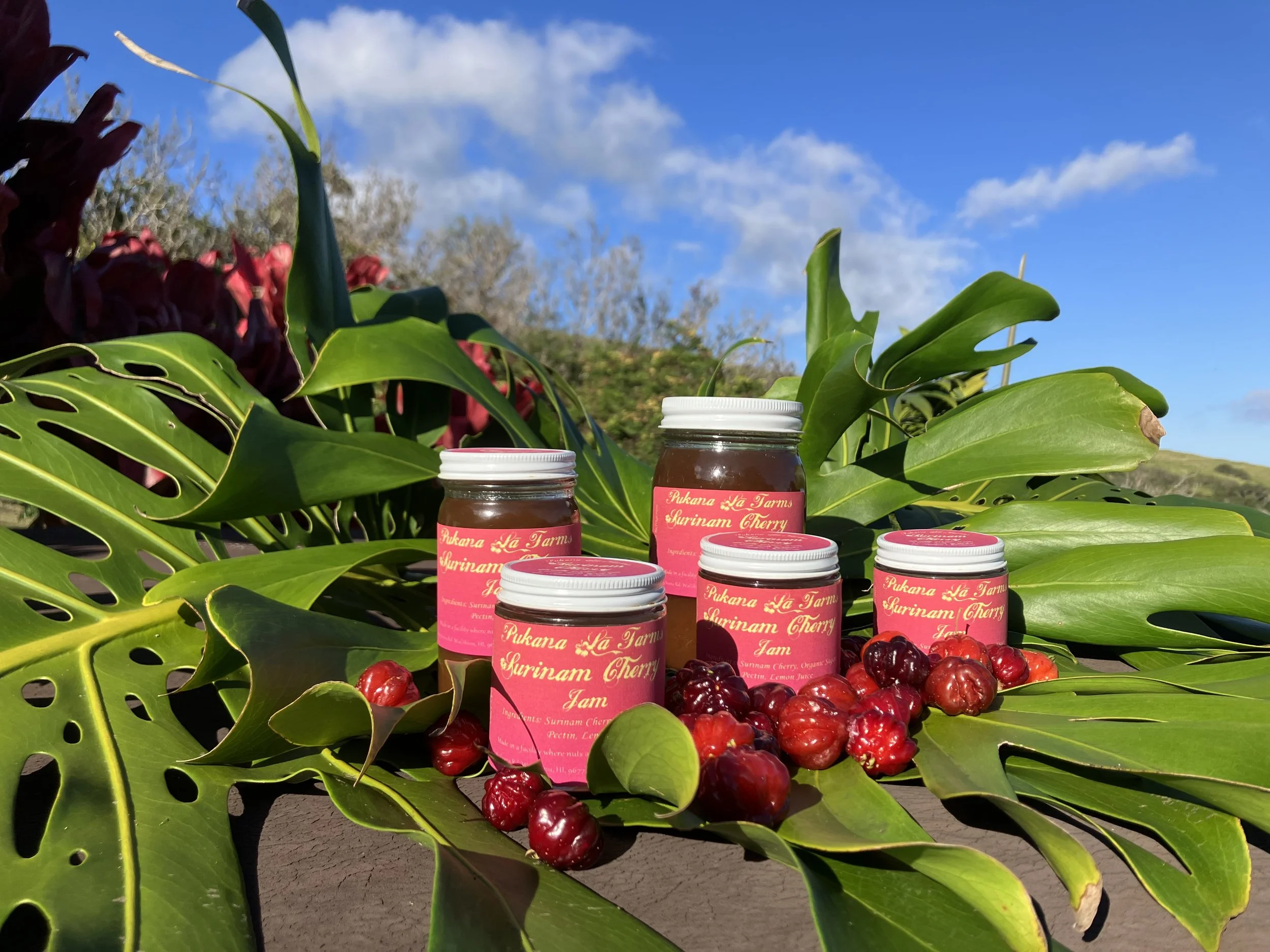 Surinam Cherry Jam — Pukana Lā Farms