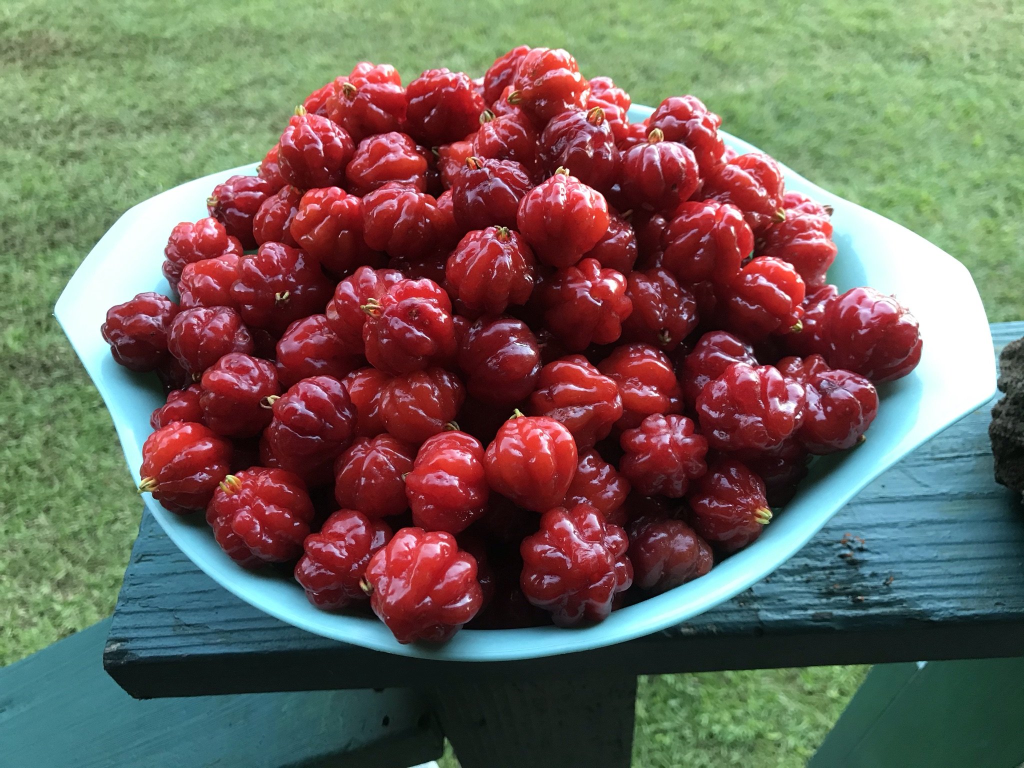 Surinam Cherry Jam — Pukana Lā Farms