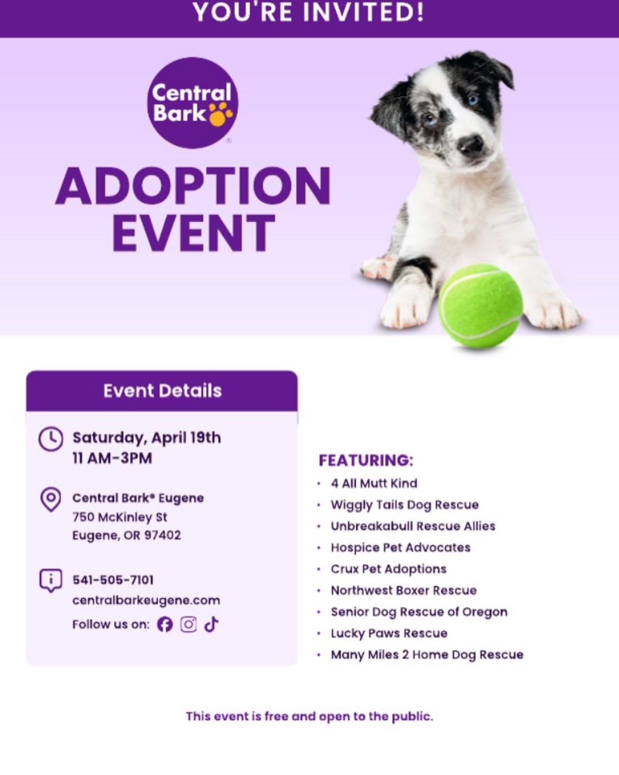 Central Bark Adoption Event