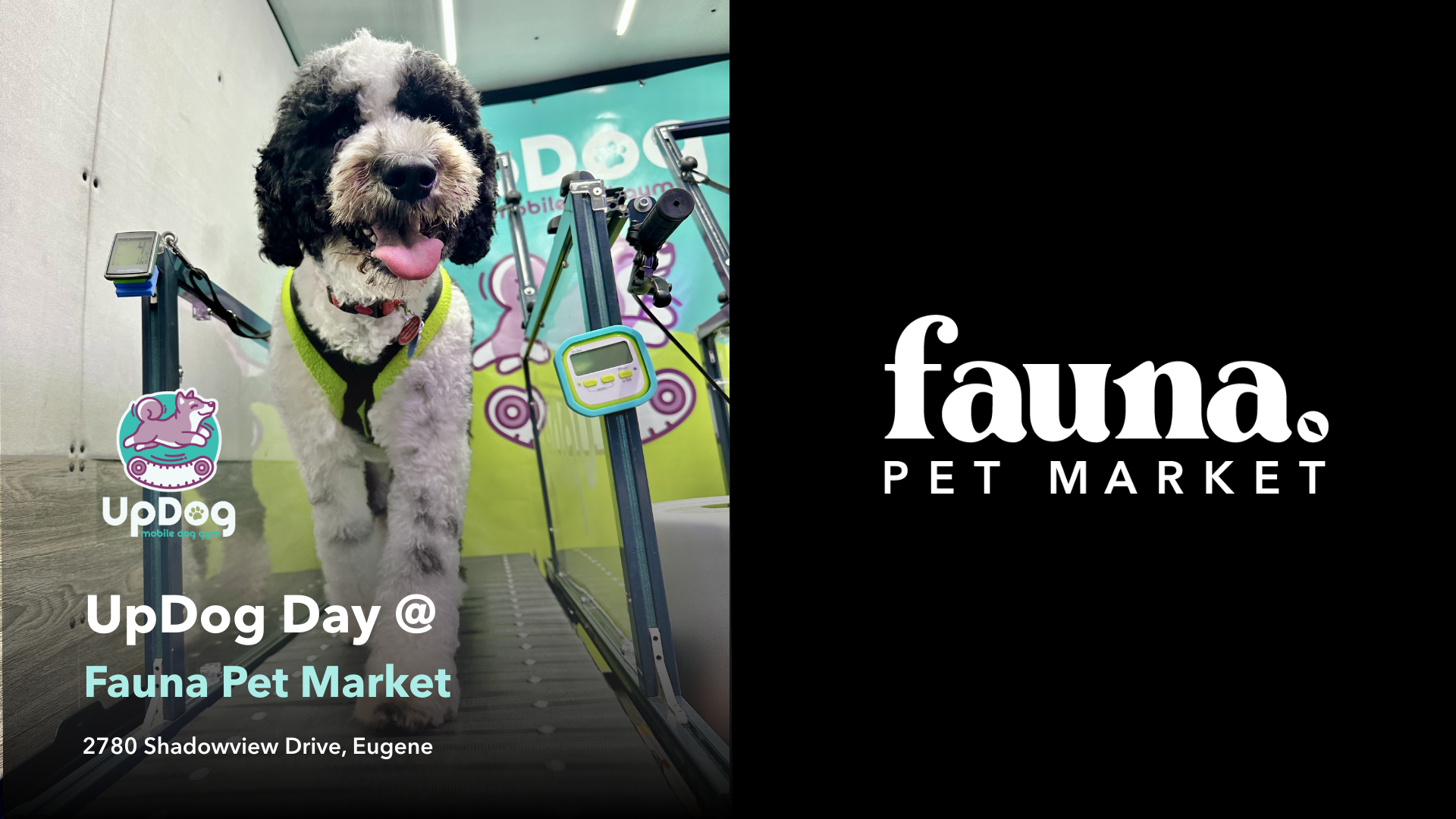 UpDog Day @ Fauna Pet Market