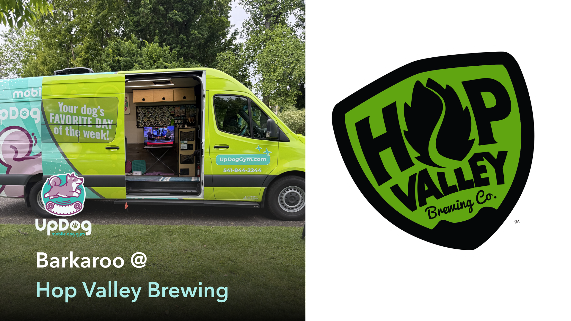 Barkaroo: Hops for Hounds 