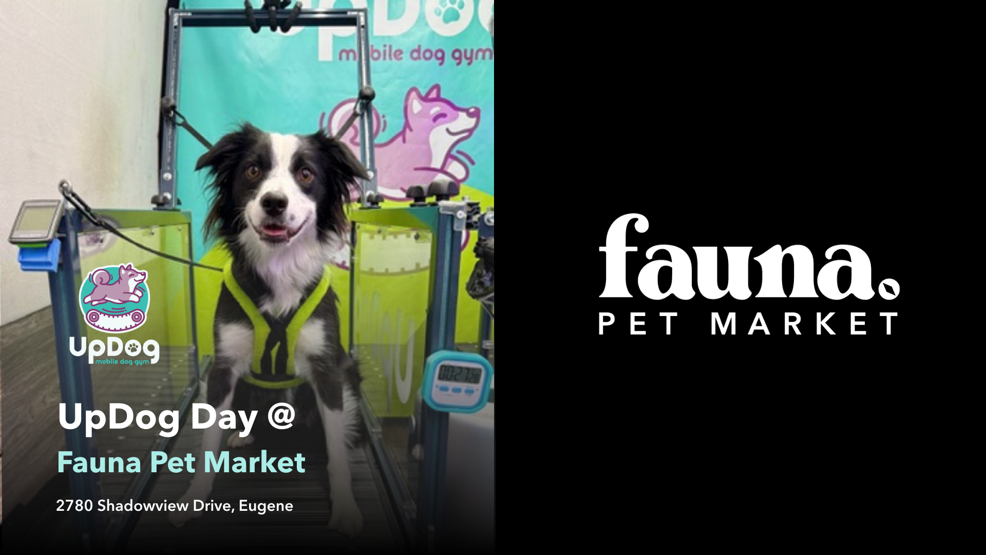 UpDog Day @ Fauna Pet Market