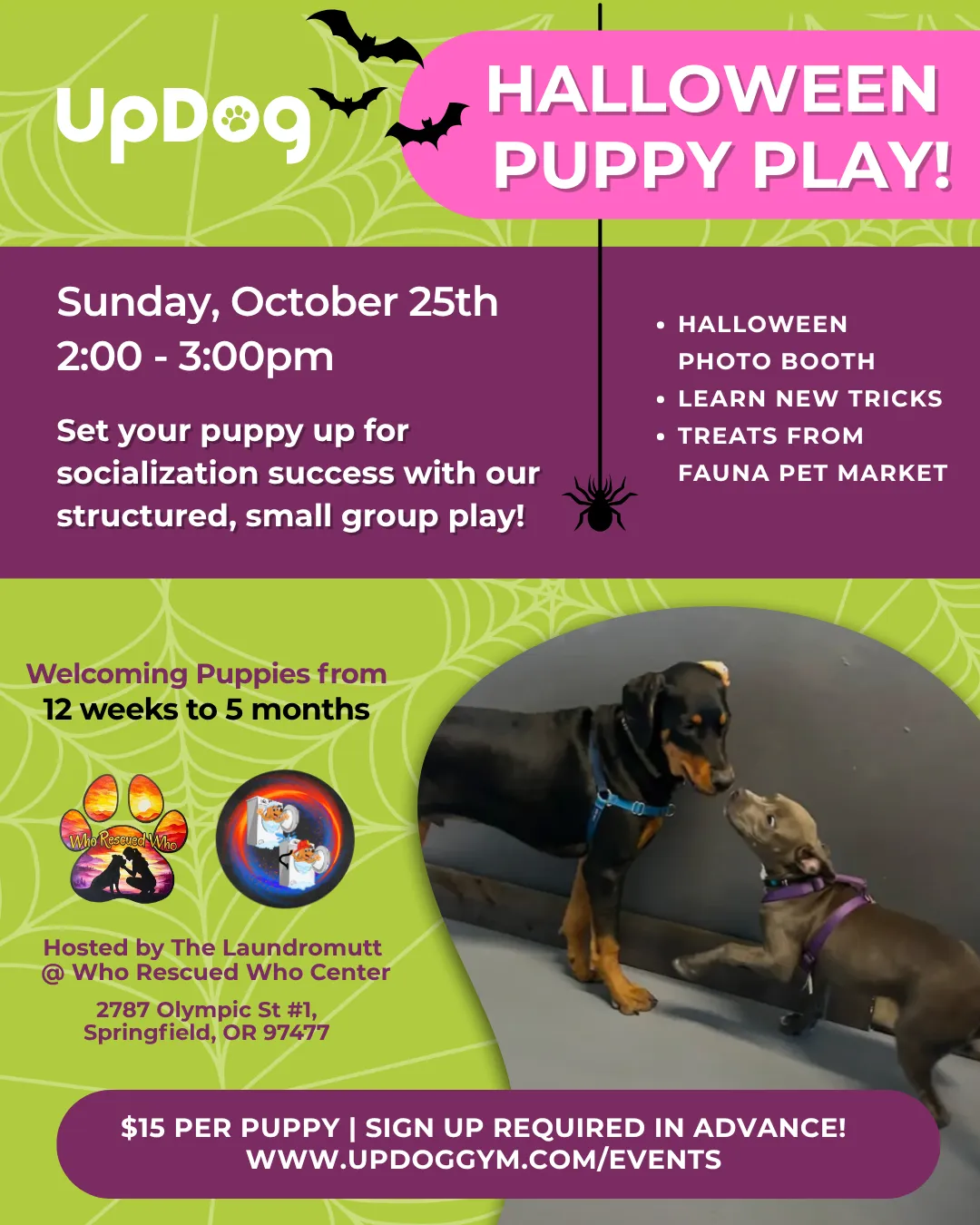 UpDog Puppy Play