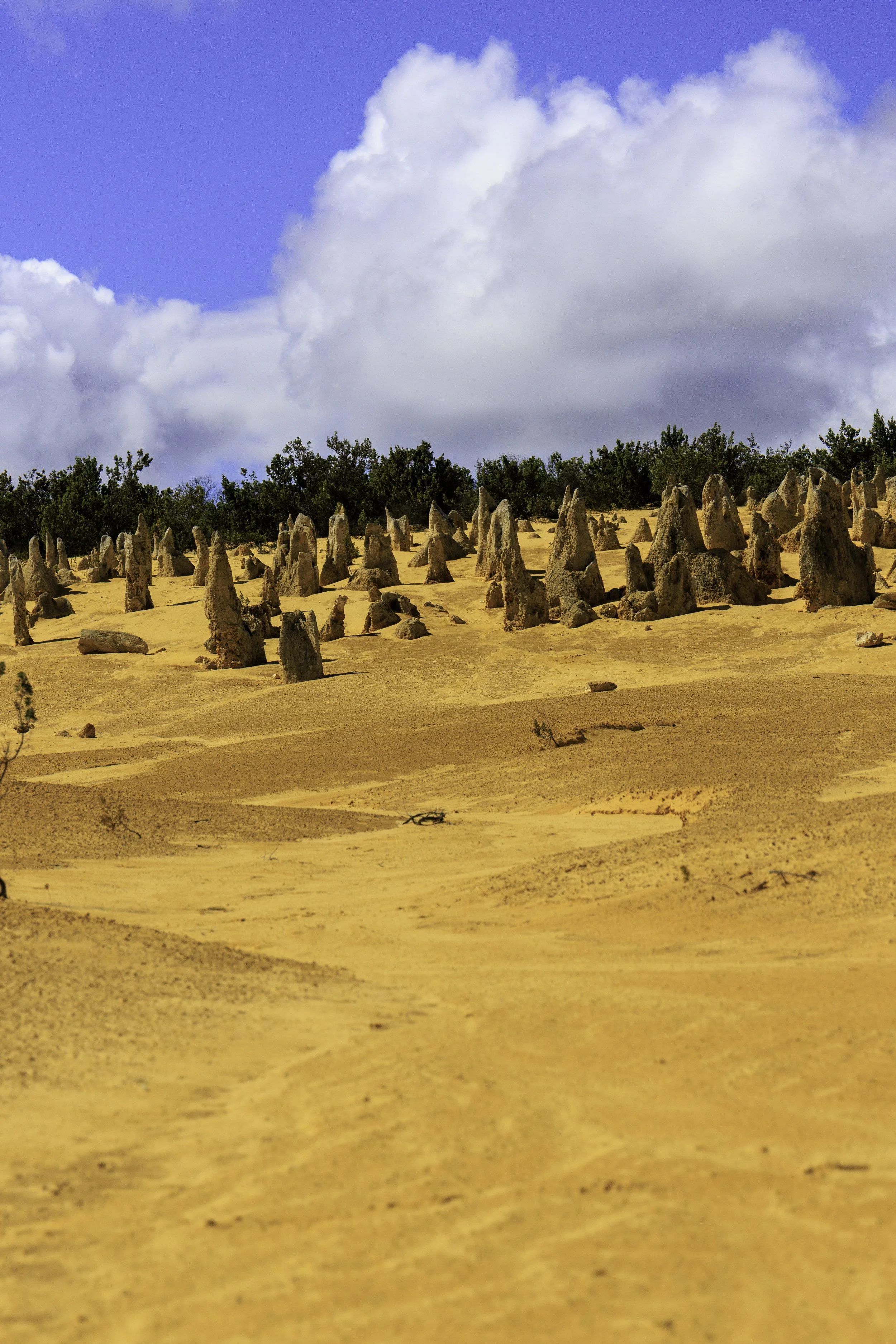 Pinnacles