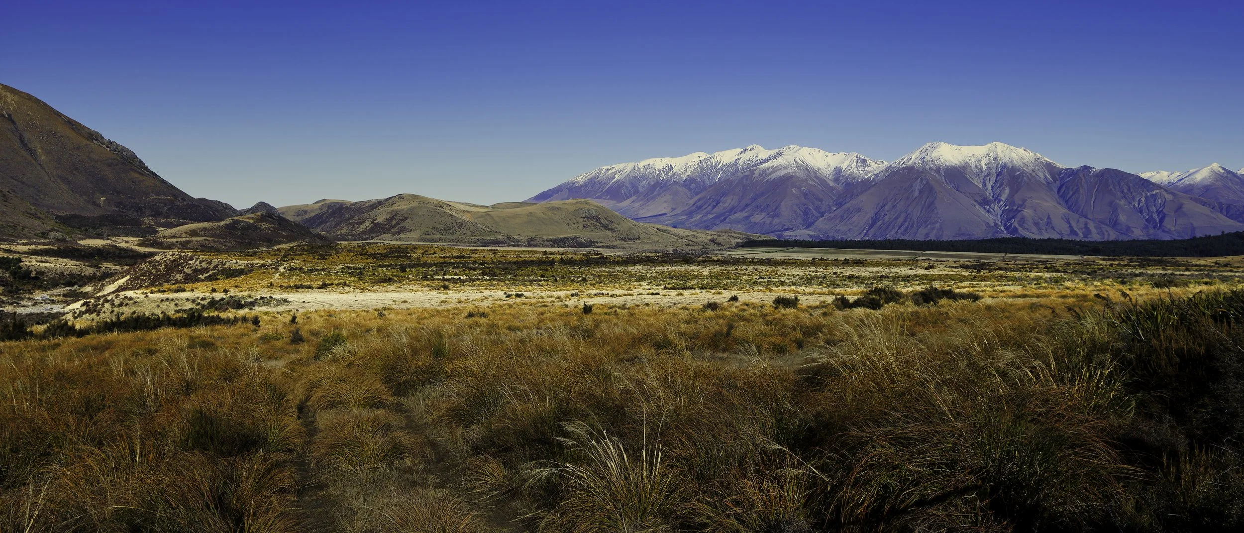Open landscape with tall grass in the foreground, rolling hills, and snow-capped mountains under a clear blue sky.