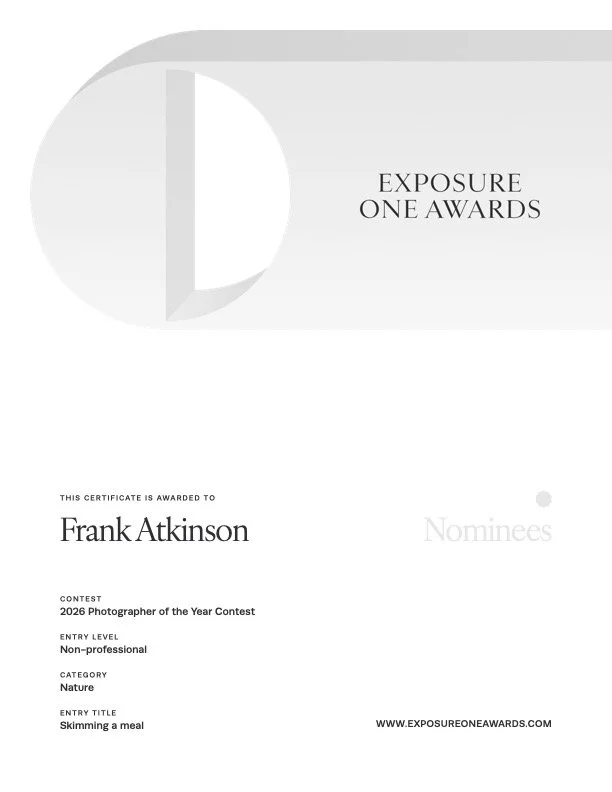 Exposure-One-Awards-Certificate copy.jpg